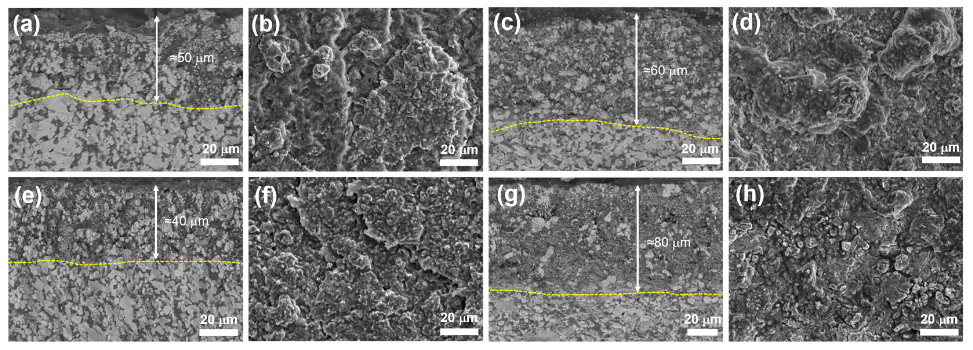 Materials 16 04495 g009 Materials 16 04495 g009