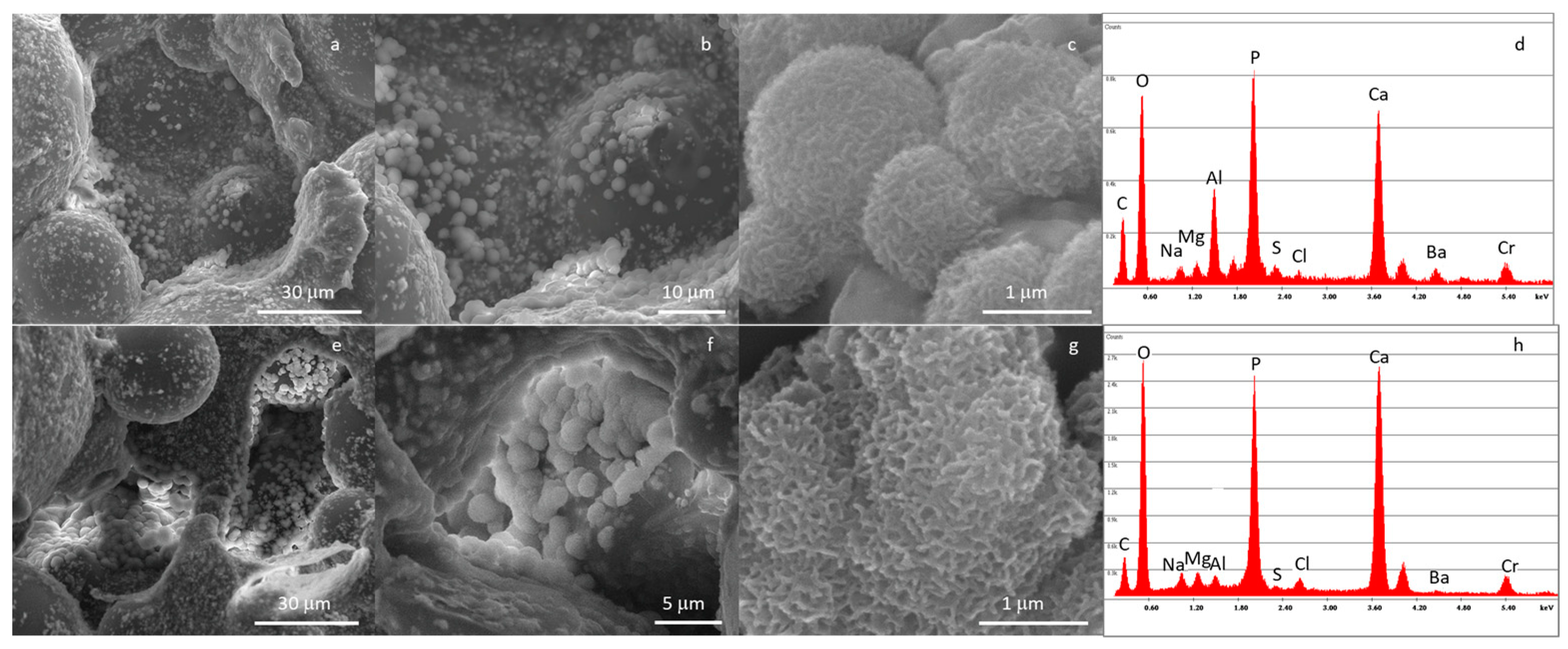 Materials 16 04499 g009