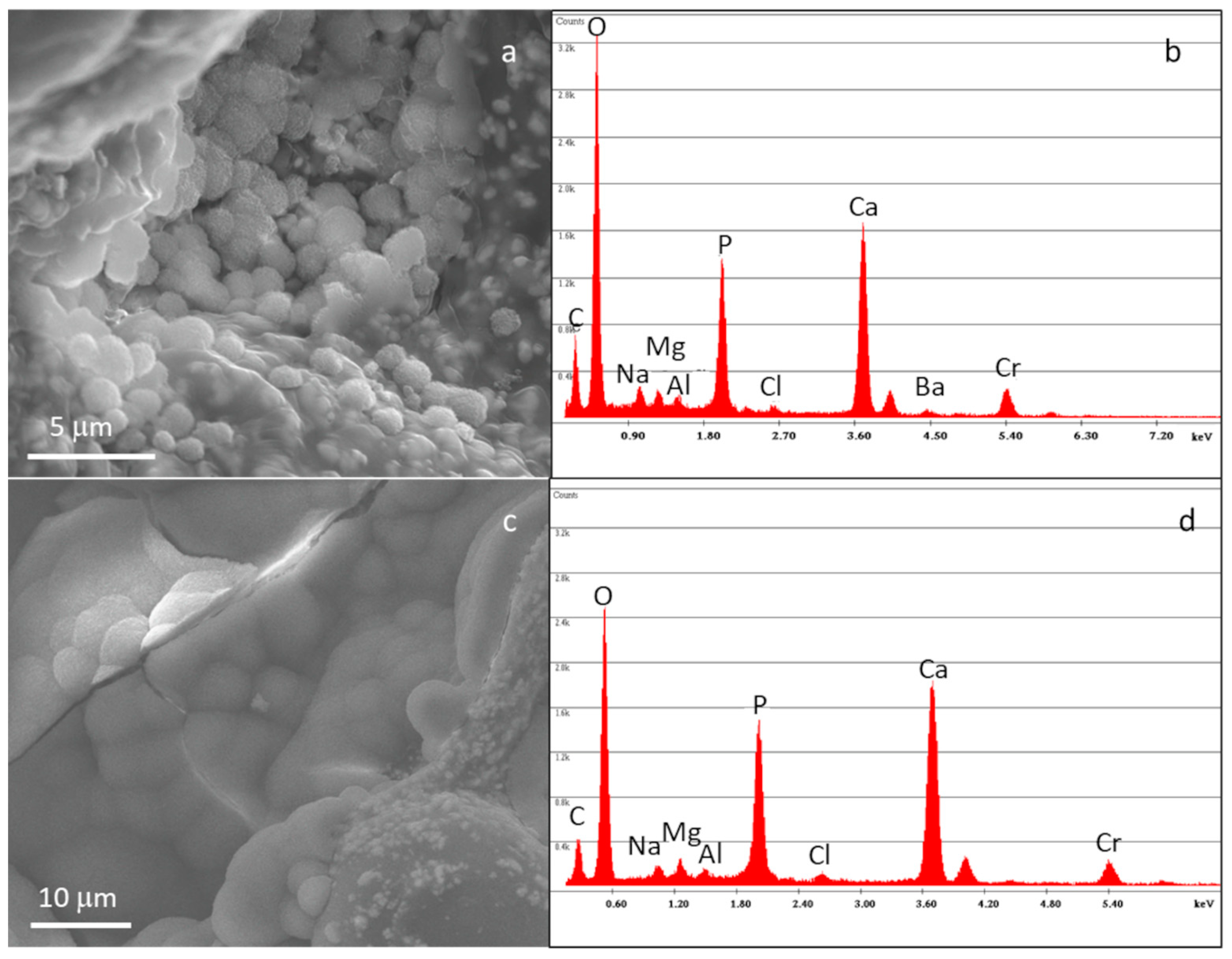 Materials 16 04499 g010