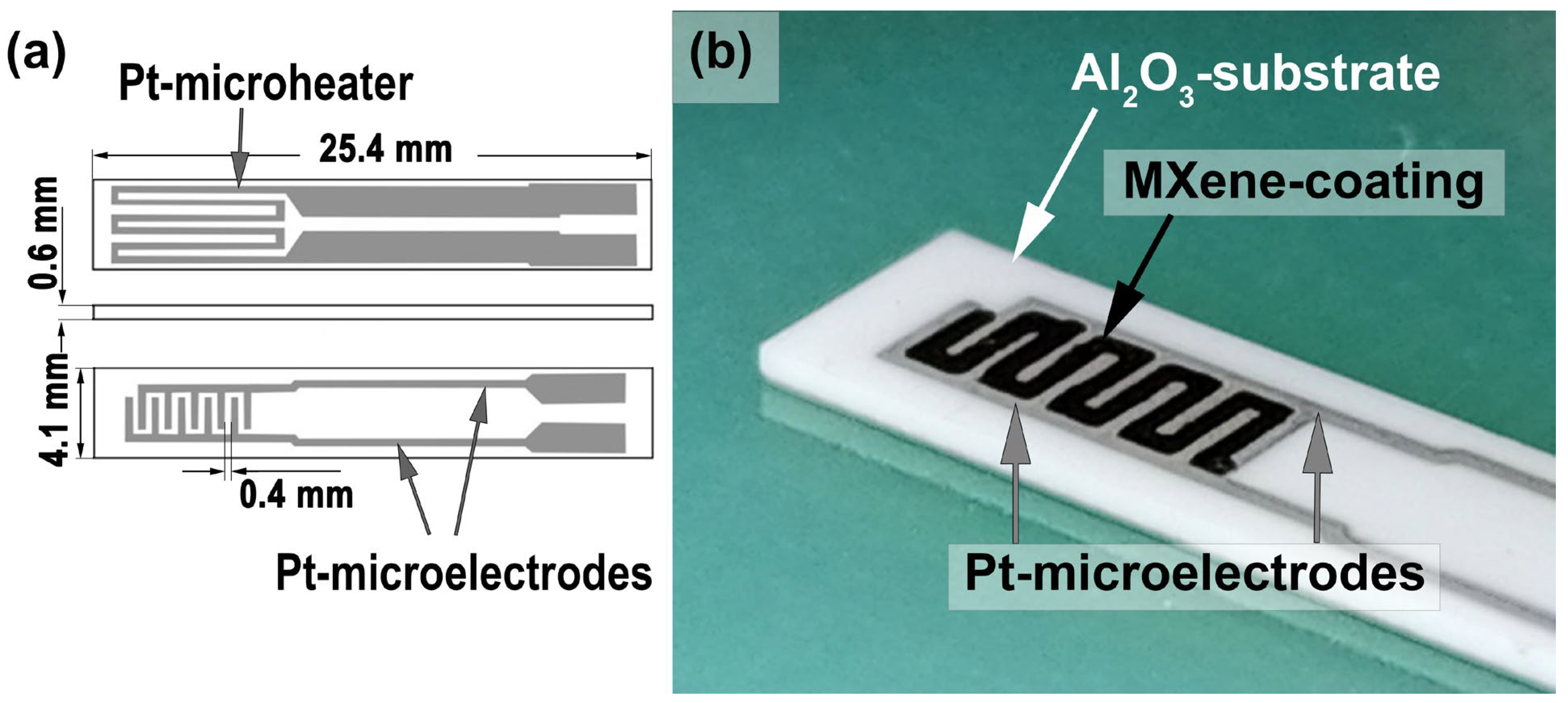 Materials 16 04506 g001