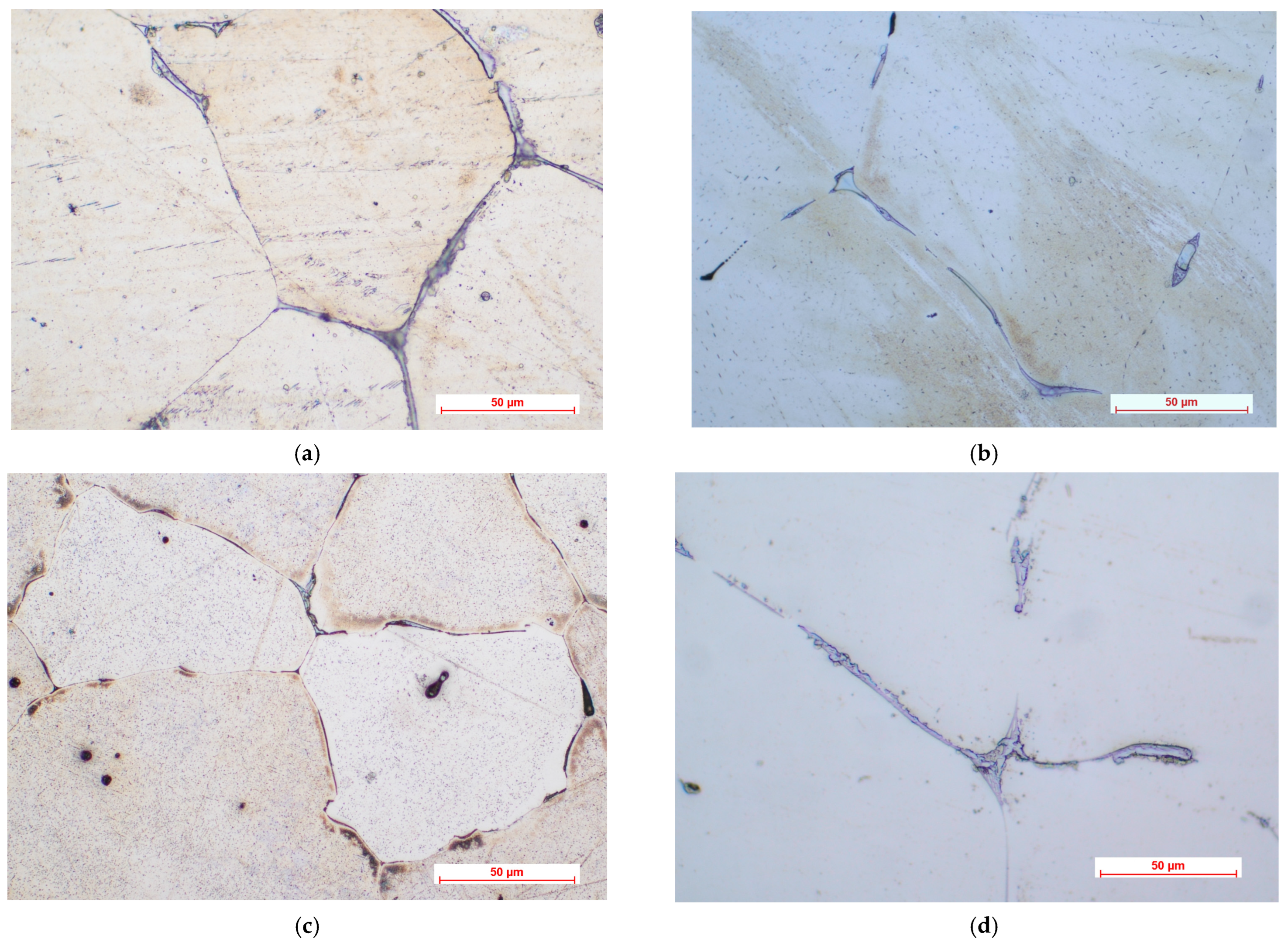 Materials 16 04508 g001