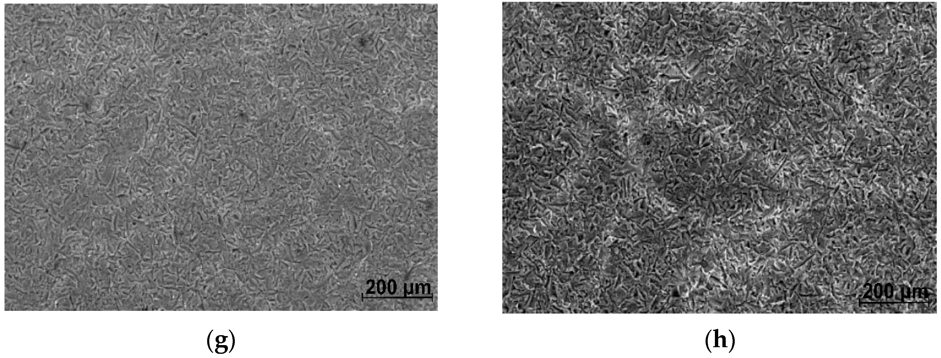 Materials 16 04508 g005b