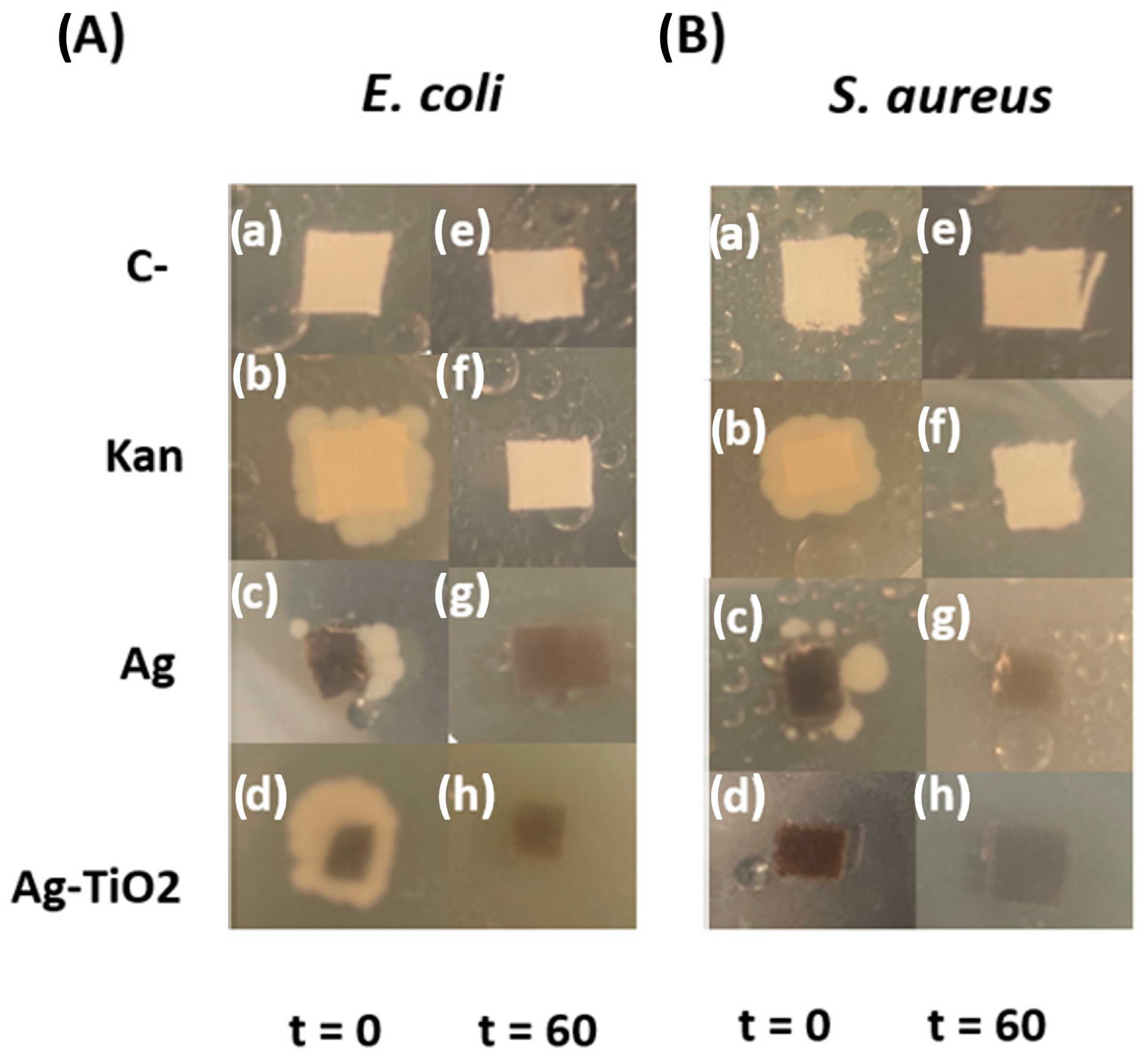 Materials 16 04513 g013
