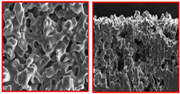 Materials 16 04515 i005