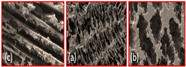 Materials 16 04515 i008