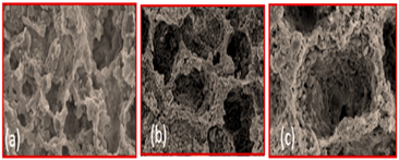 Materials 16 04515 i009