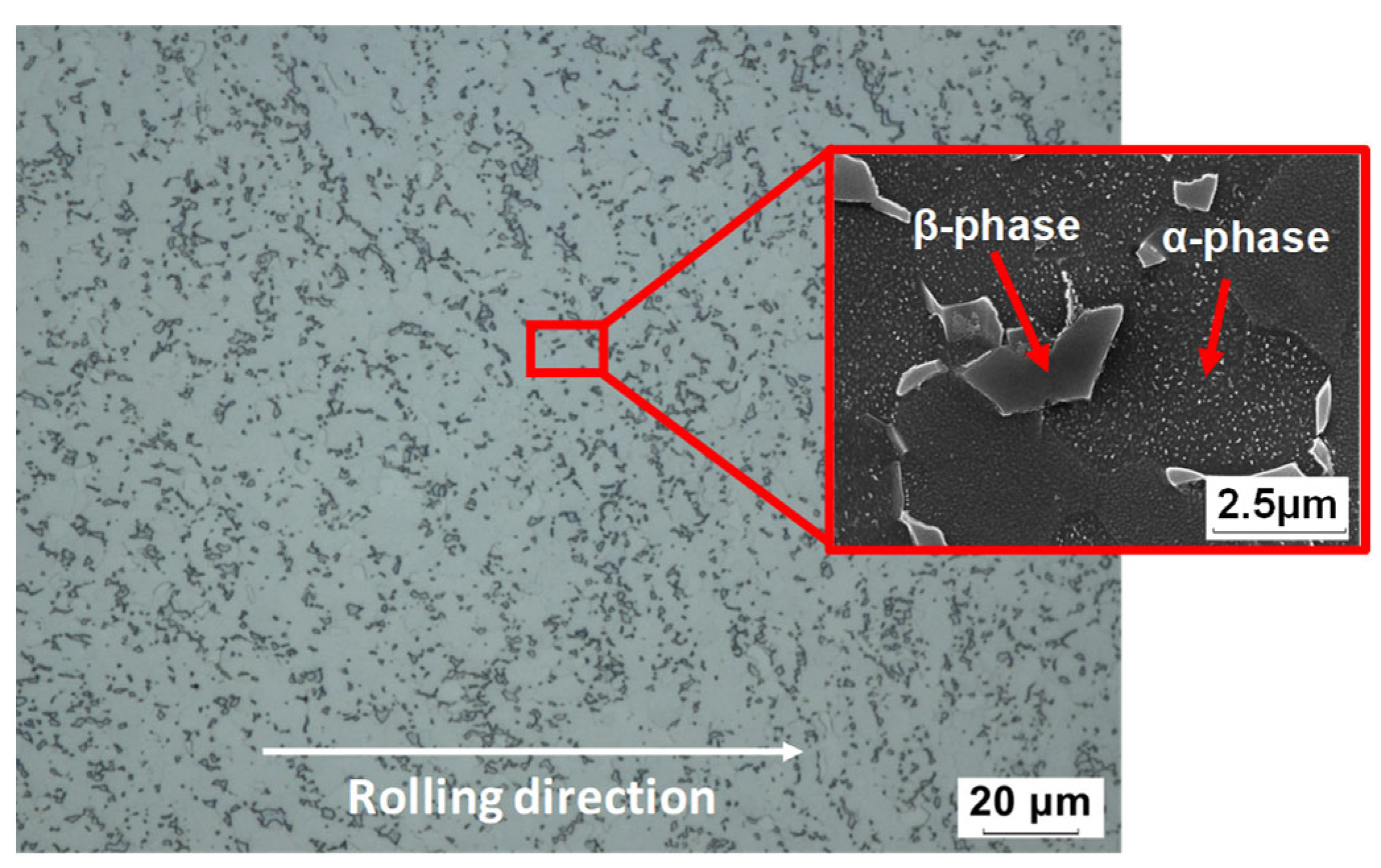 Materials 16 04516 g002