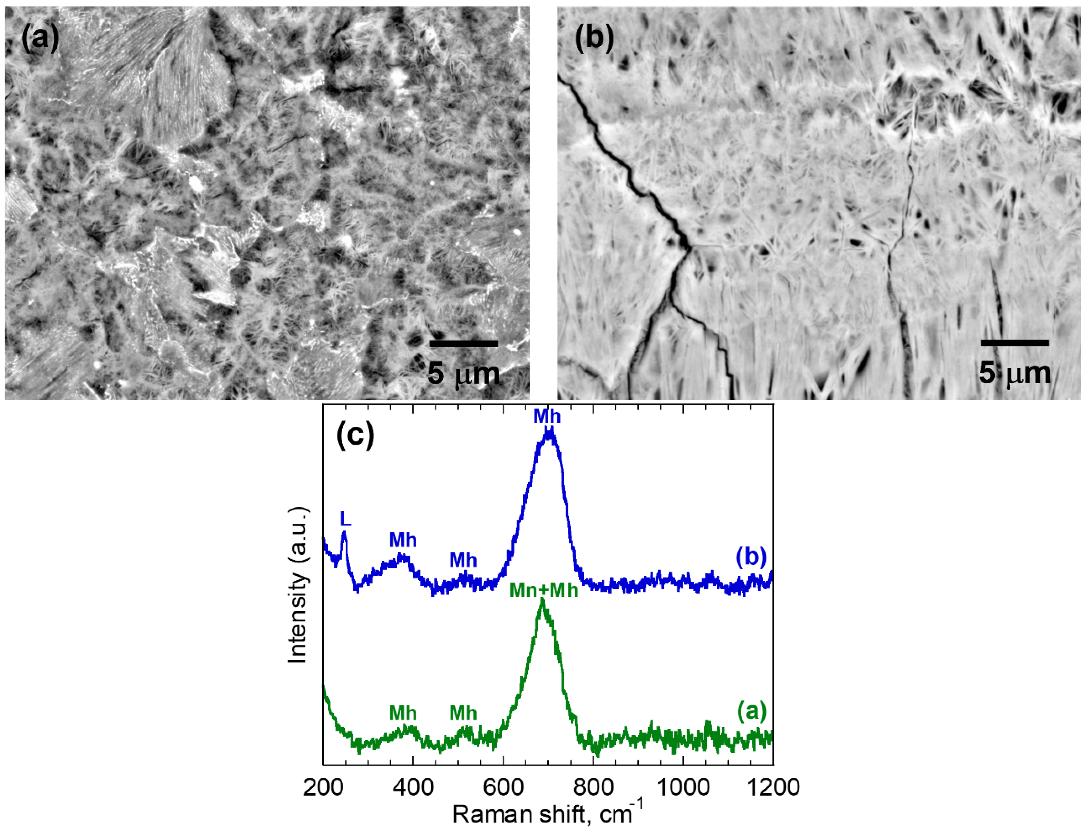 Materials 16 04521 g003 Materials 16 04521 g003