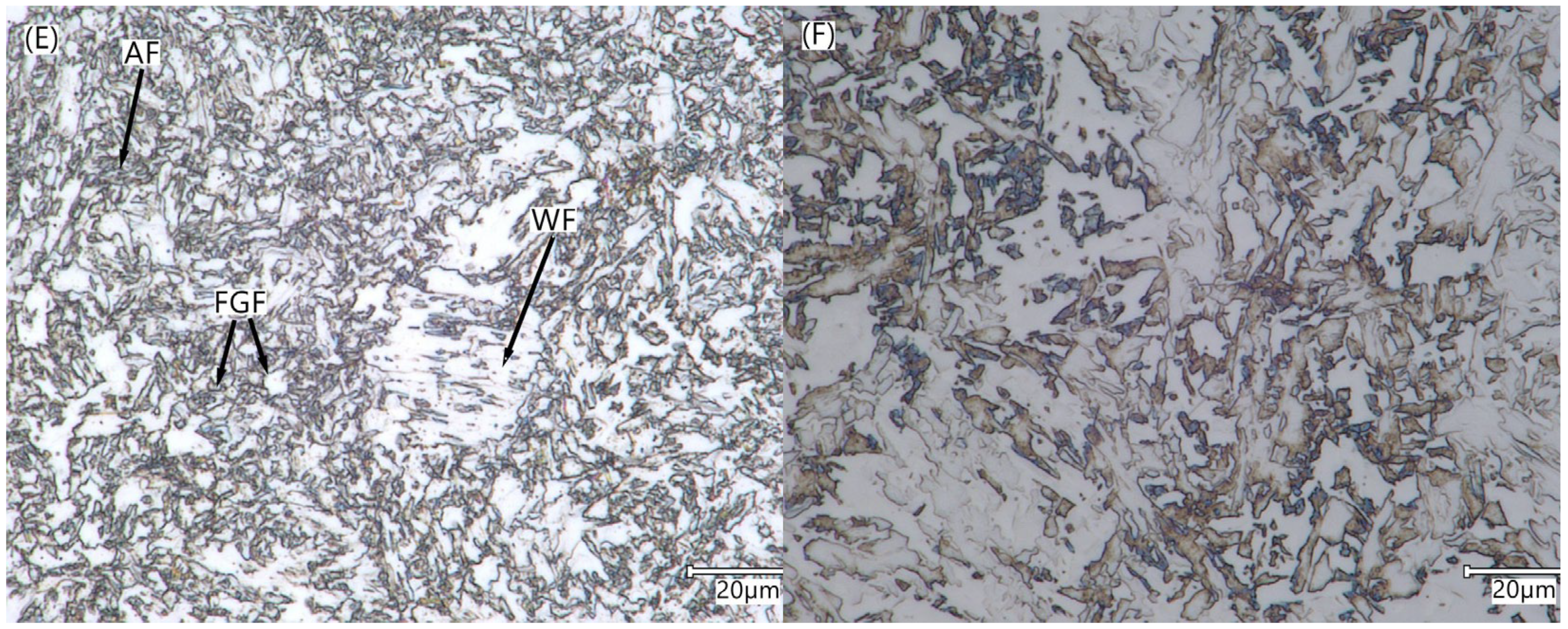 Materials 16 04523 g007b