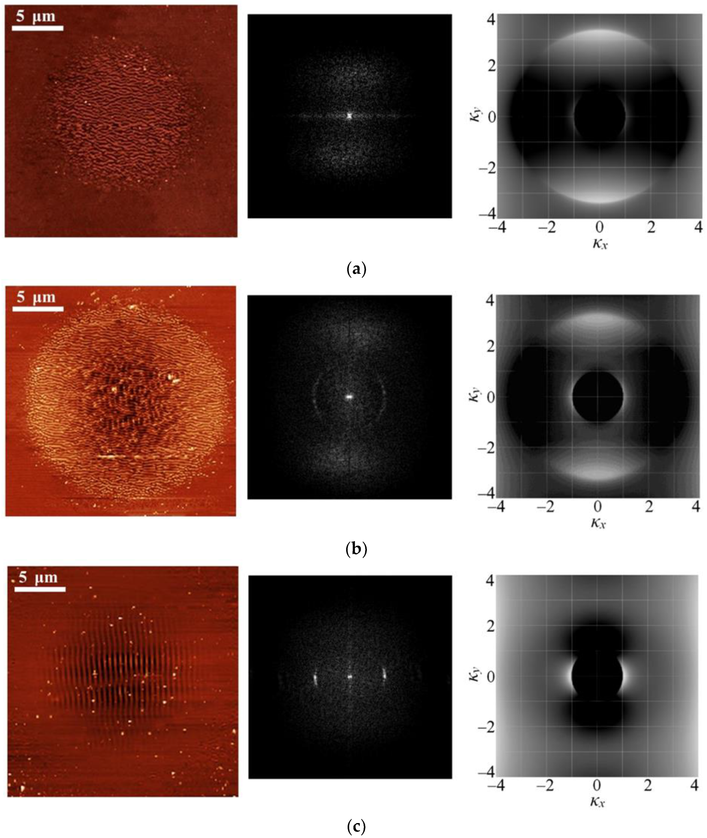 Materials 16 04524 g006