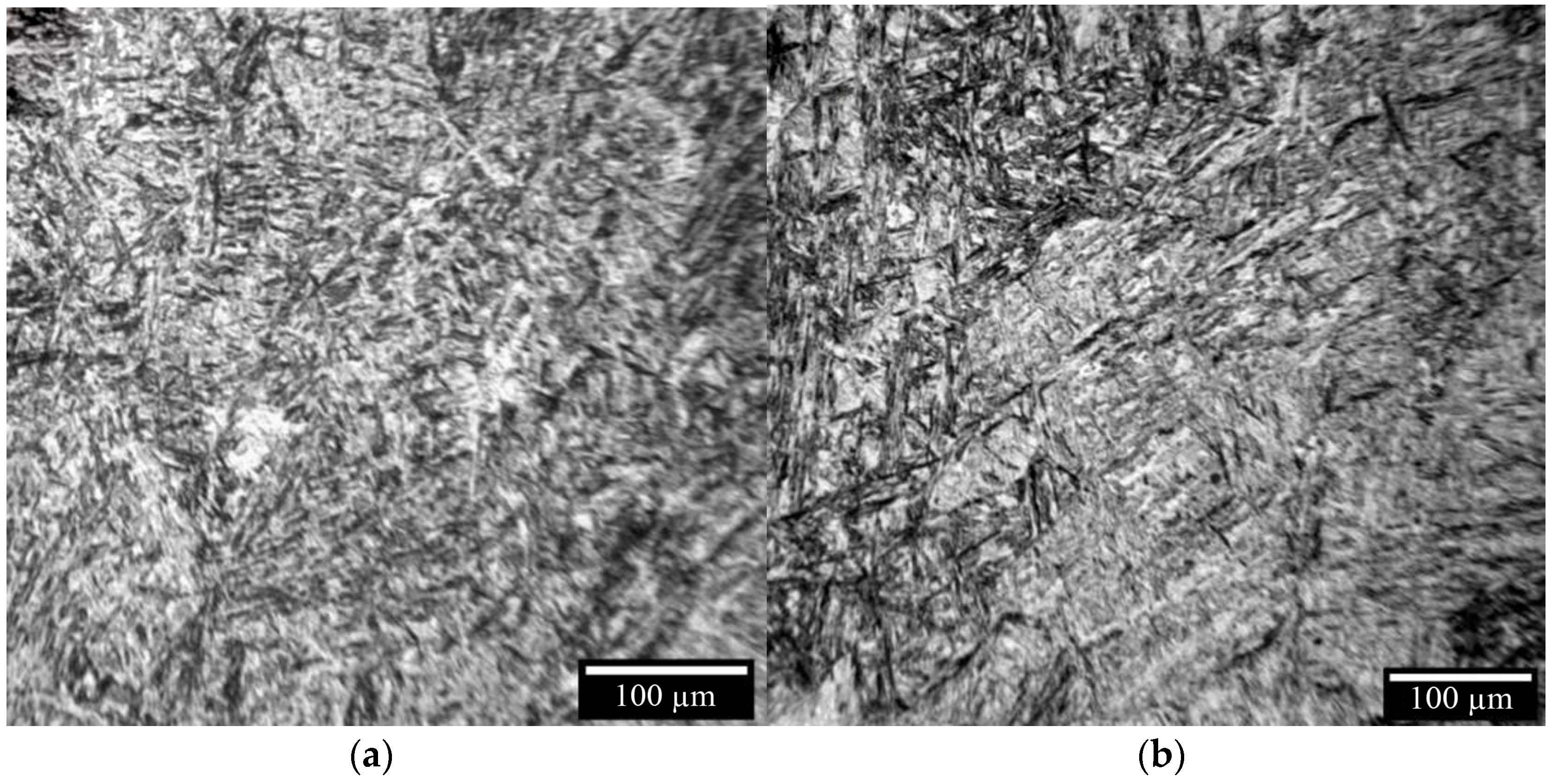 Materials 16 04529 g010