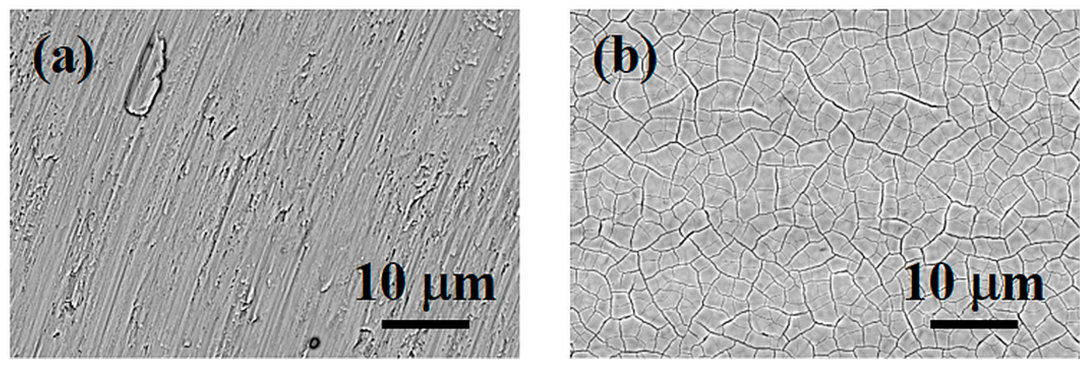 Materials 16 04530 g006