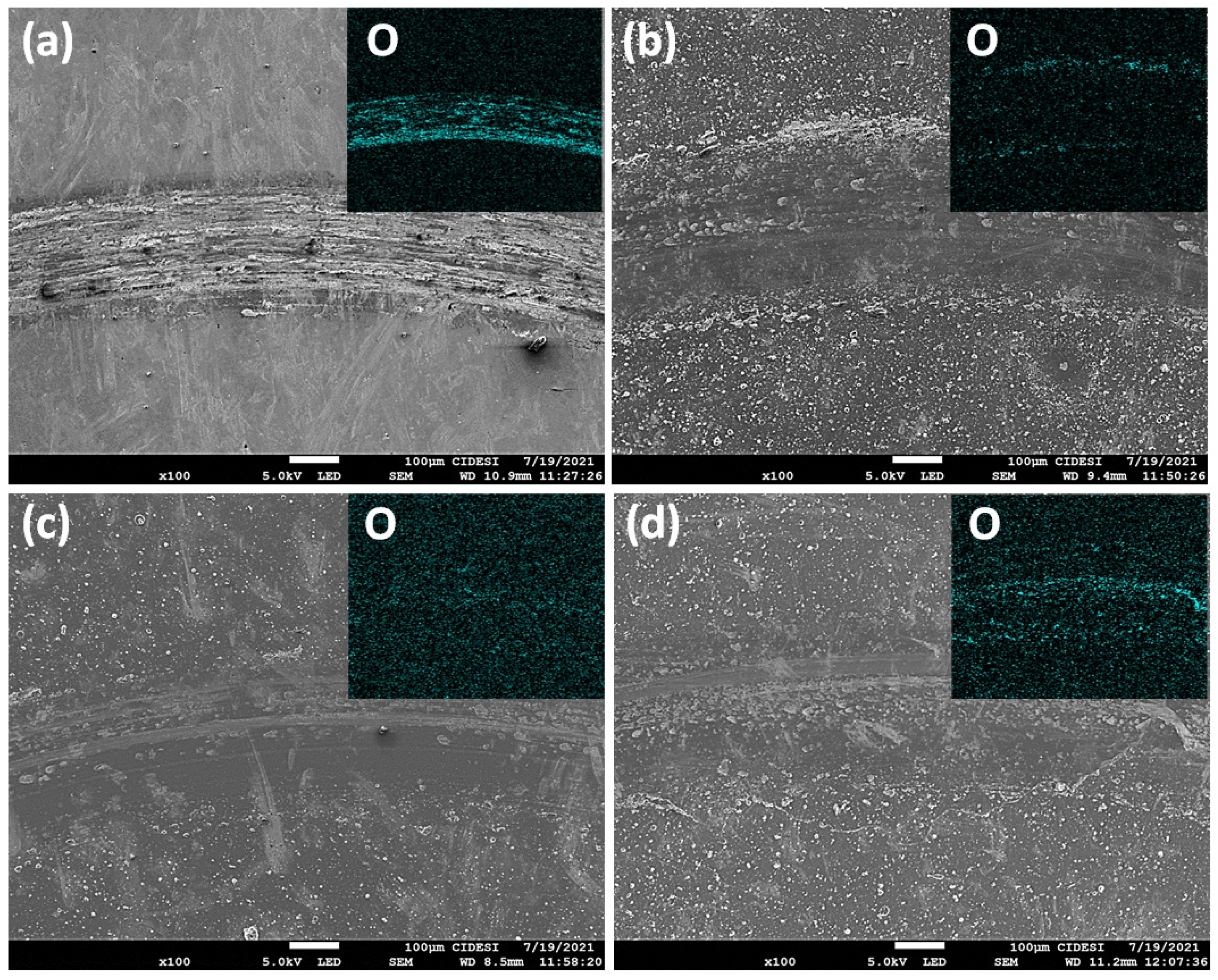 Materials 16 04531 g007