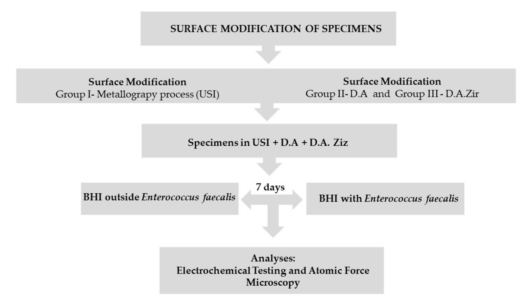 Materials 16 04532 g001