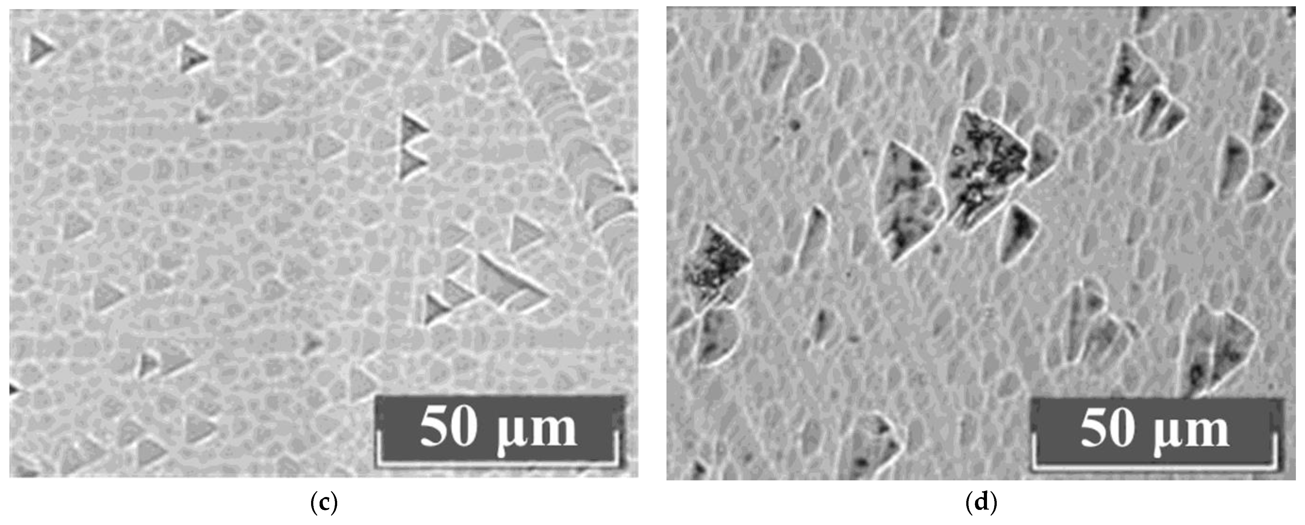 Materials 16 04541 g009b