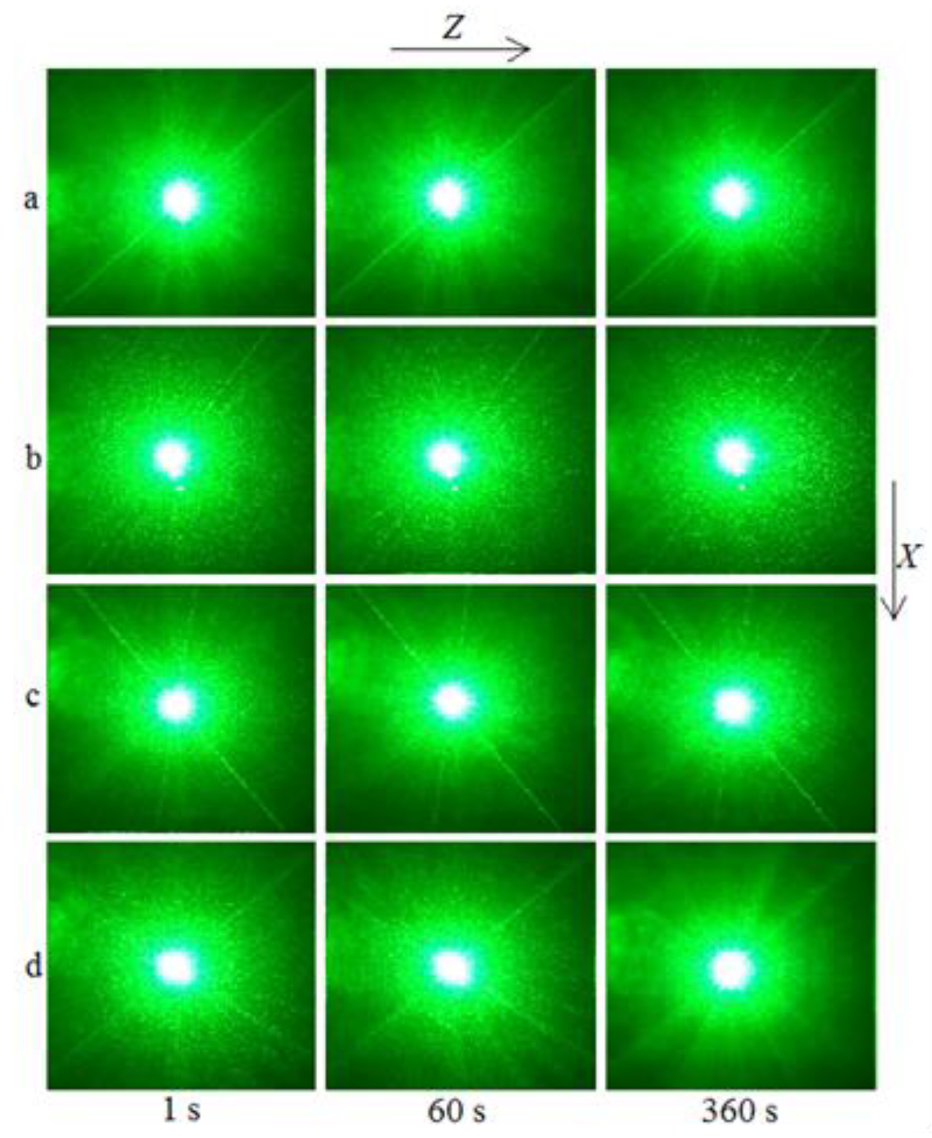 Materials 16 04541 g012