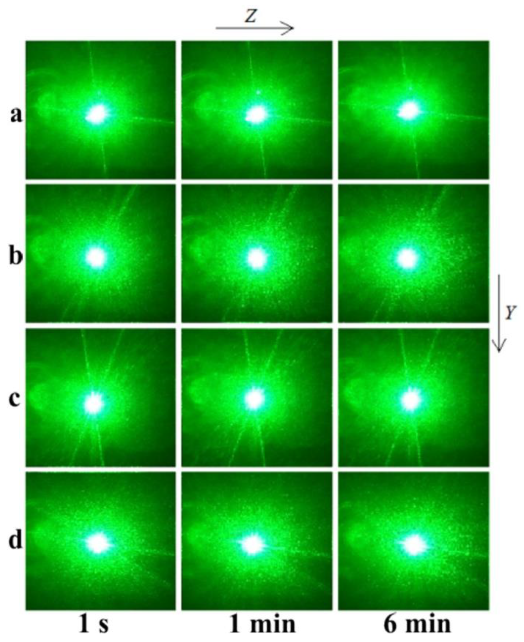 Materials 16 04541 g013