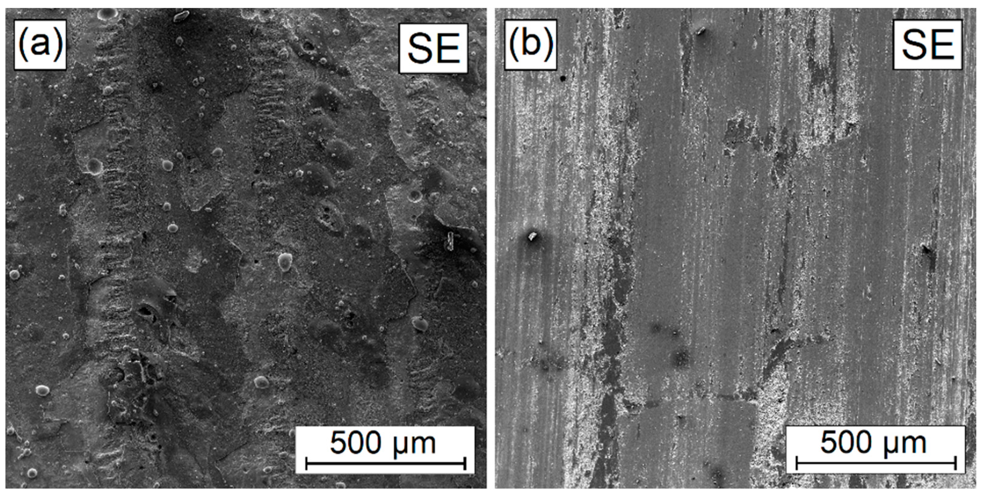 Materials 16 04542 g019