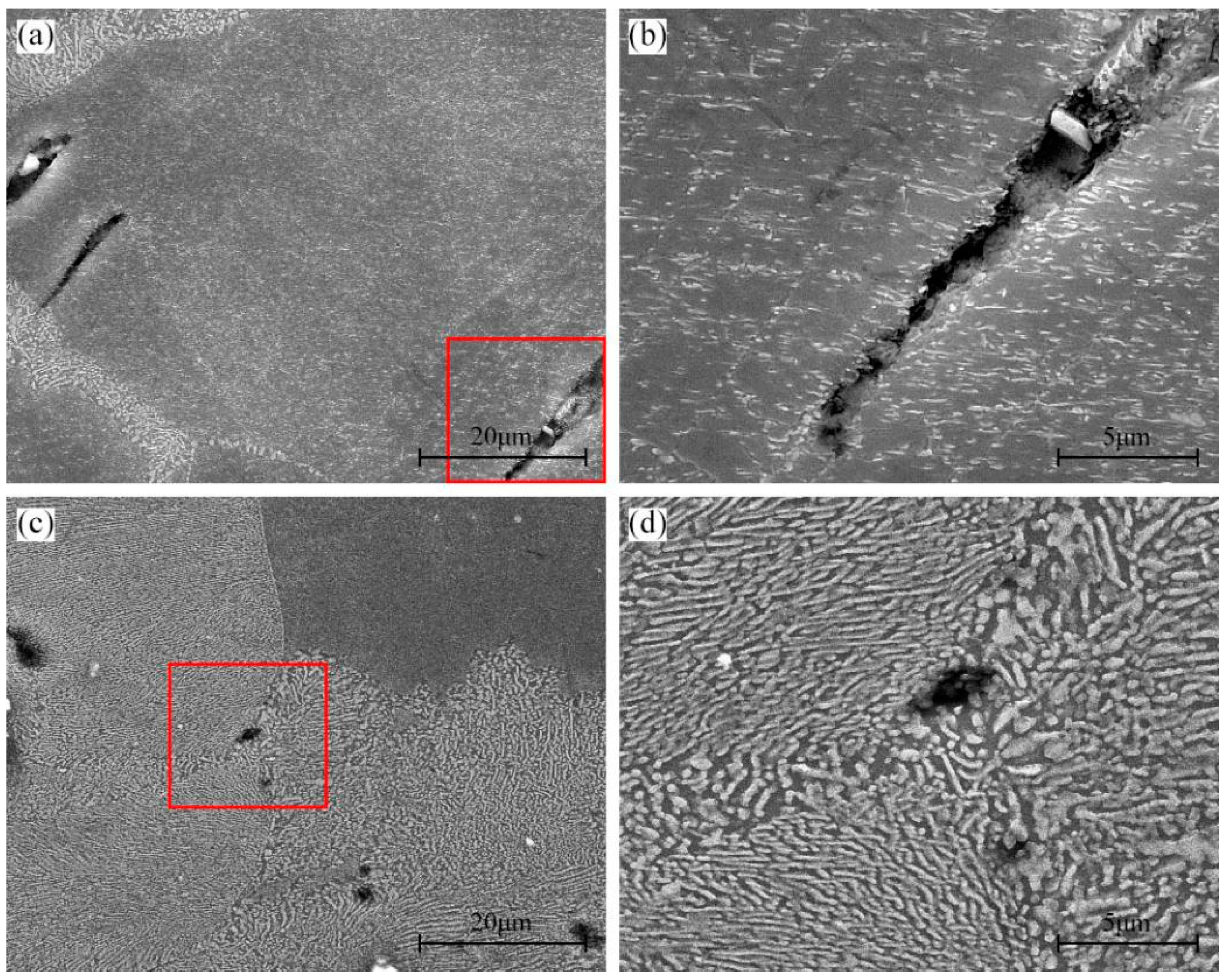 Materials 16 04546 g010 Materials 16 04546 g010