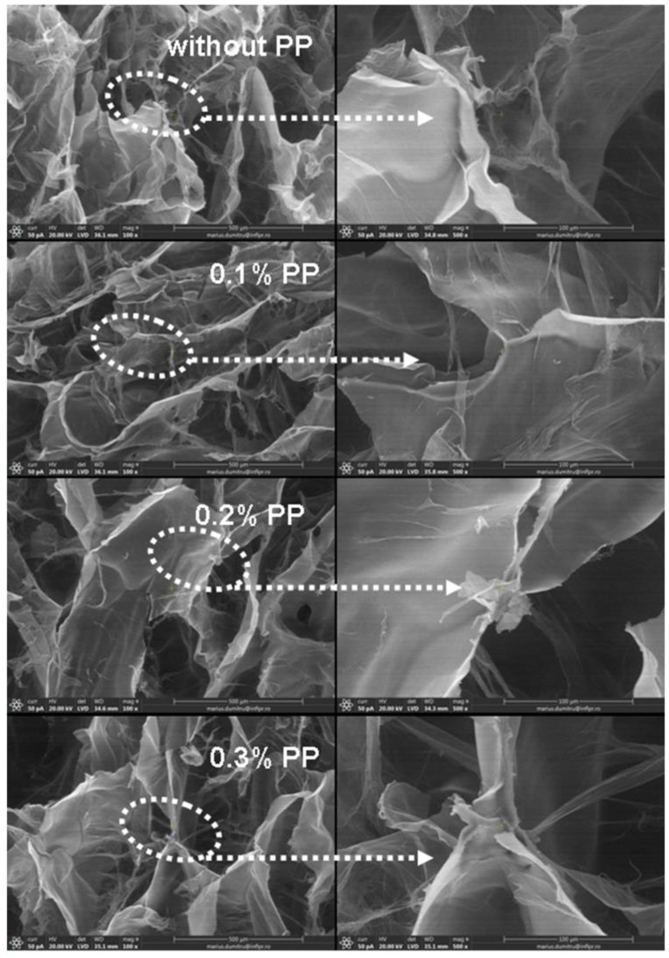 Materials 16 04552 g011 Materials 16 04552 g011