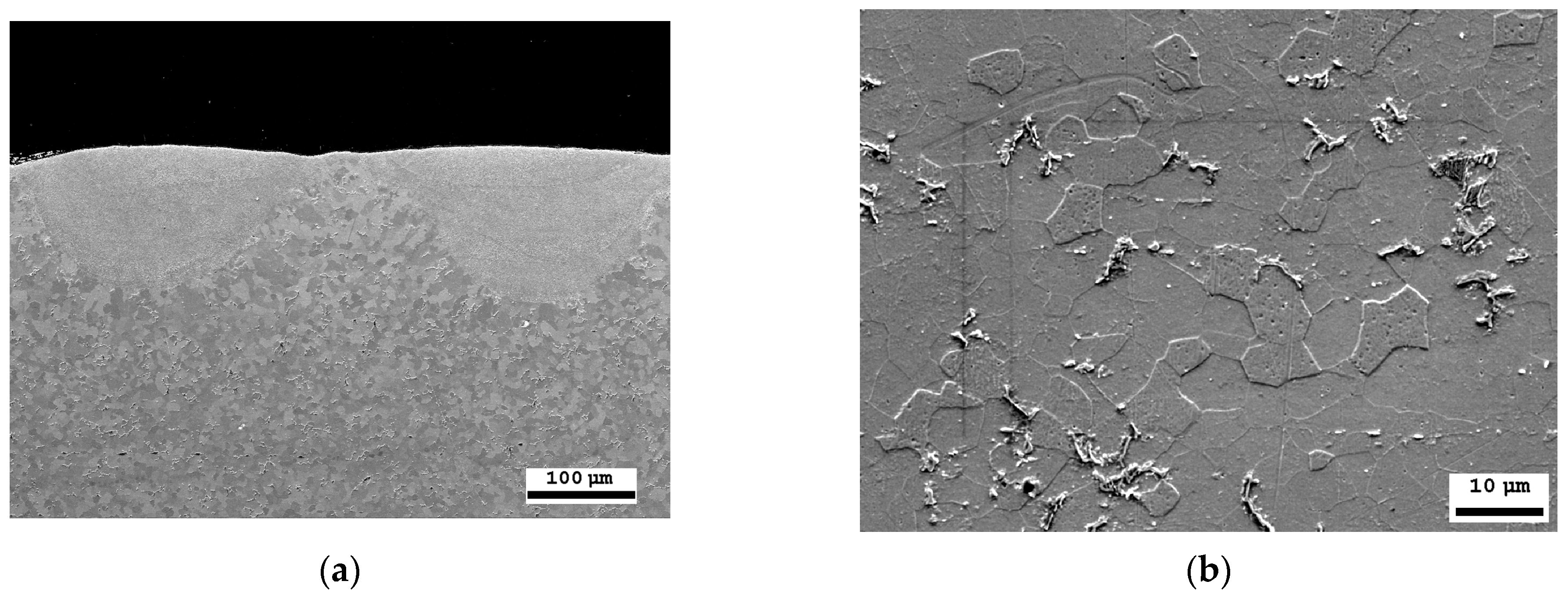 Materials 16 04555 g007 Materials 16 04555 g007