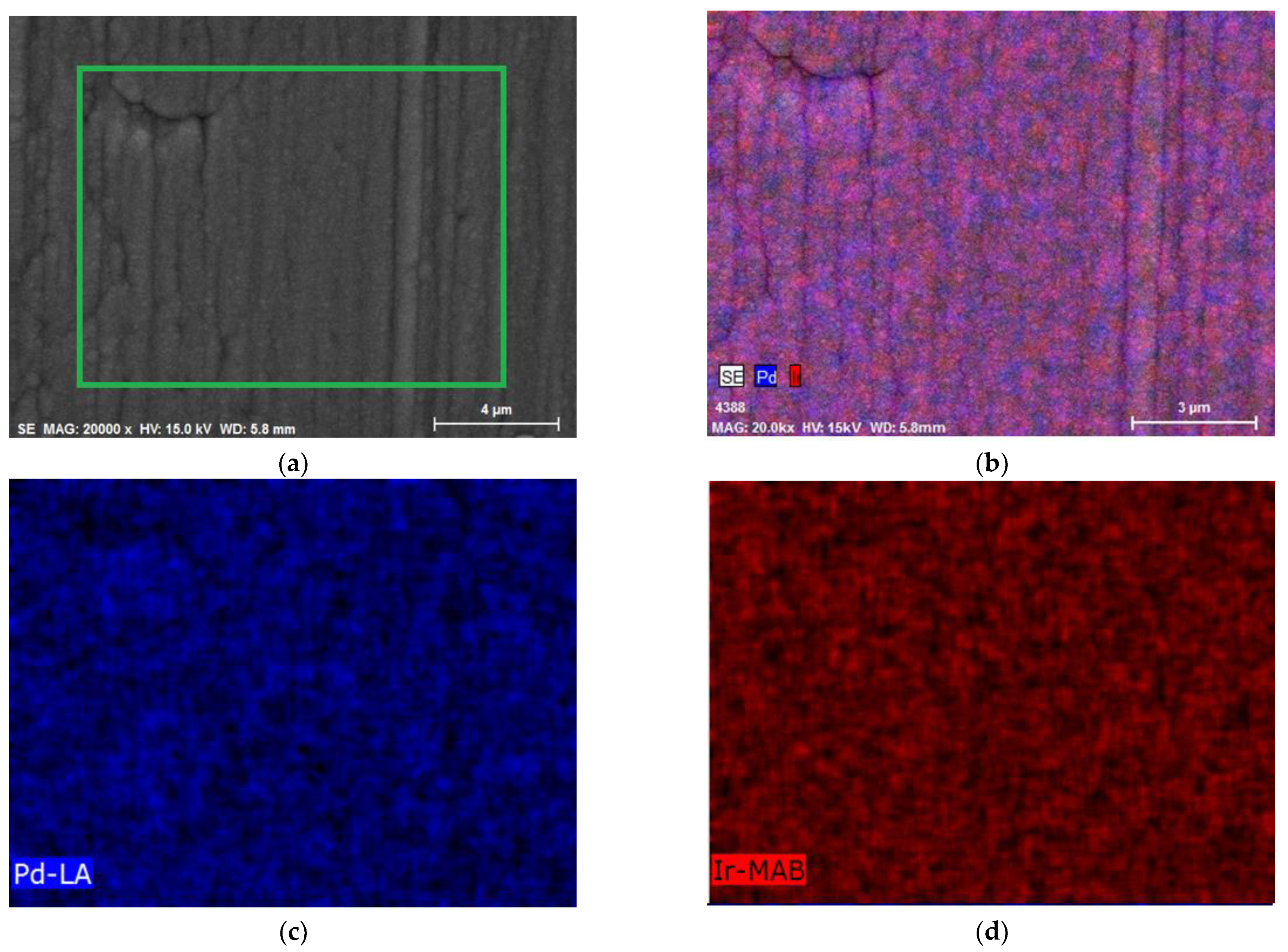 Materials 16 04556 g005 Materials 16 04556 g005