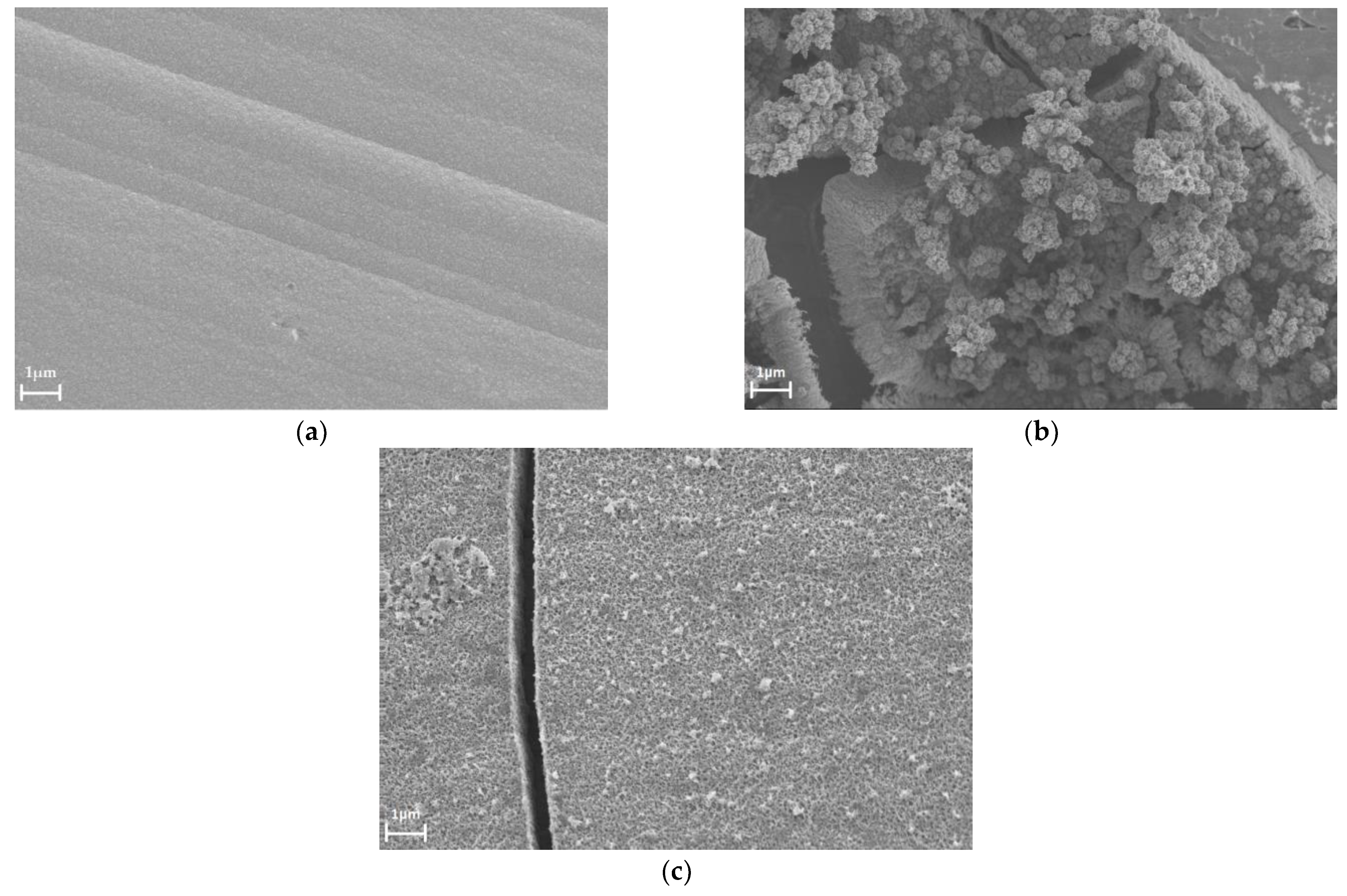 Materials 16 04556 g007 Materials 16 04556 g007