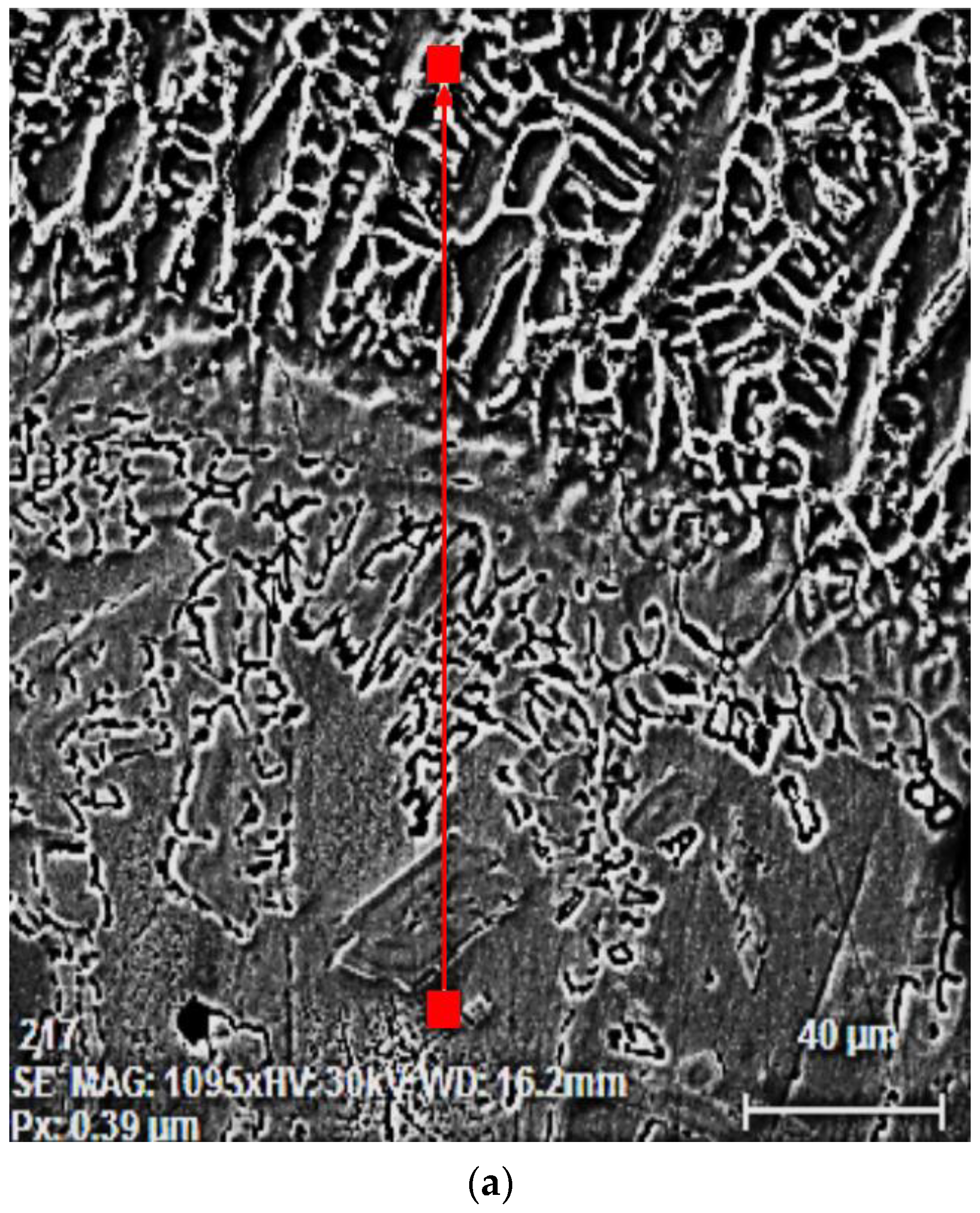 Materials 16 04557 g005a