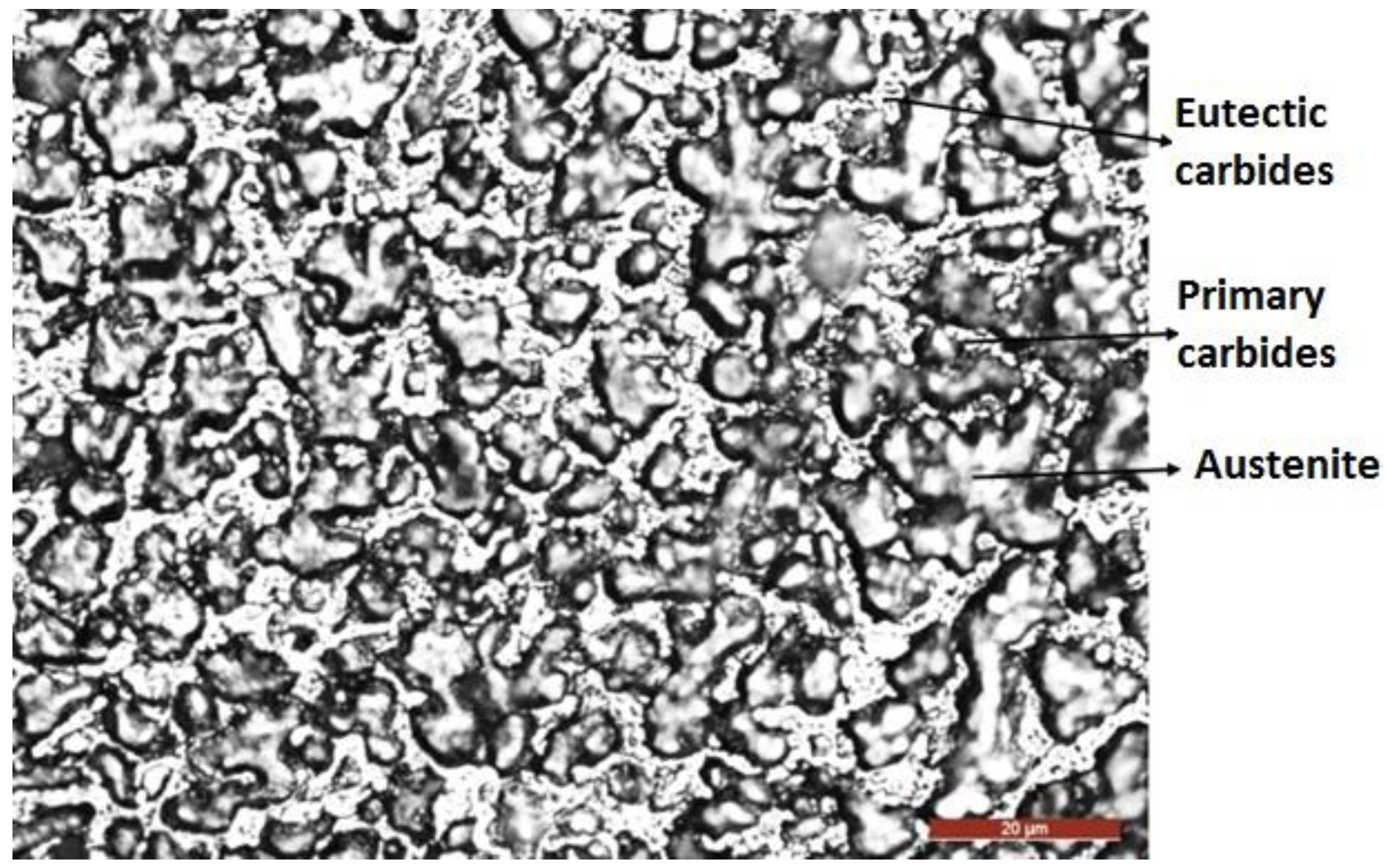 Materials 16 04557 g009