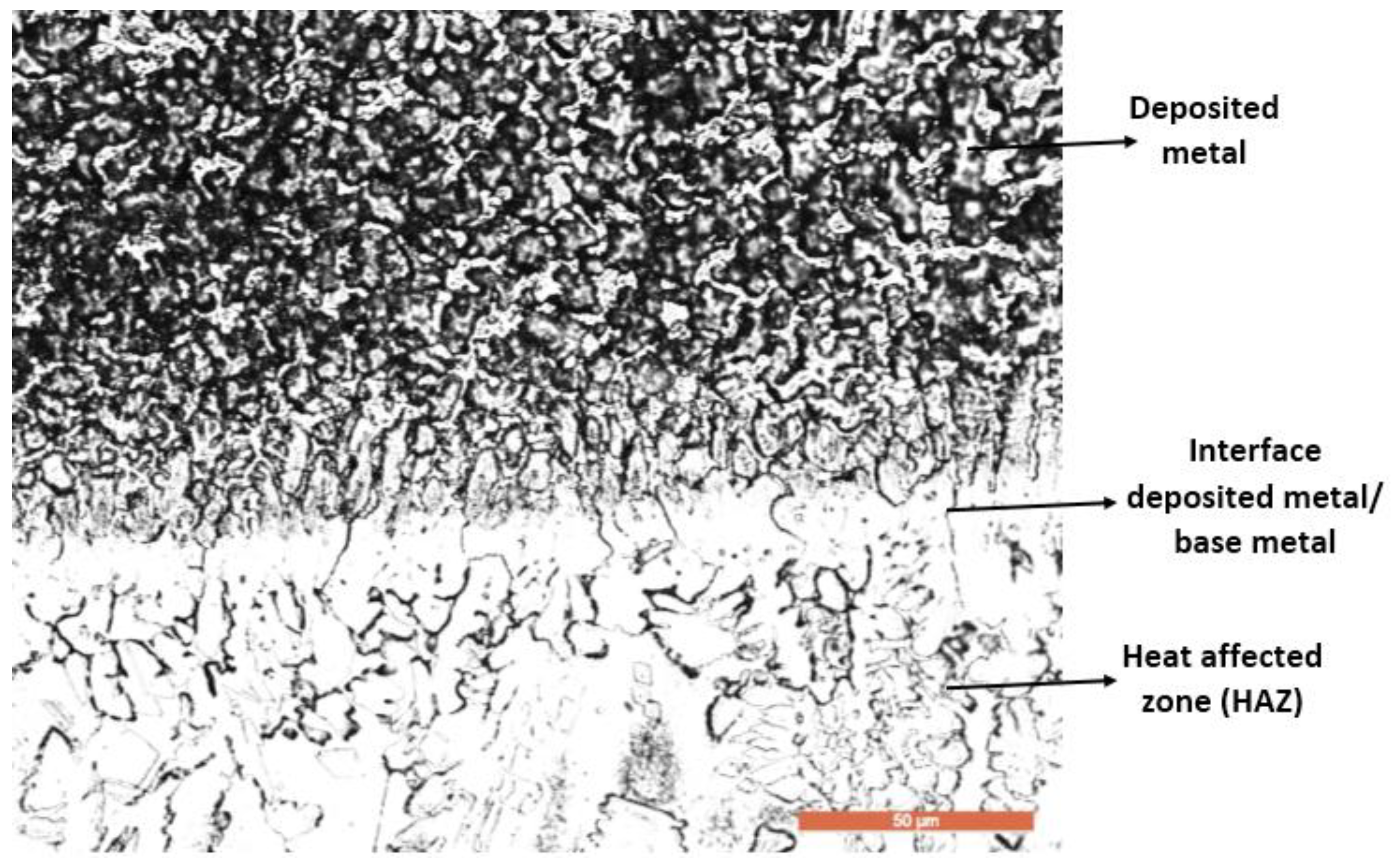 Materials 16 04557 g010