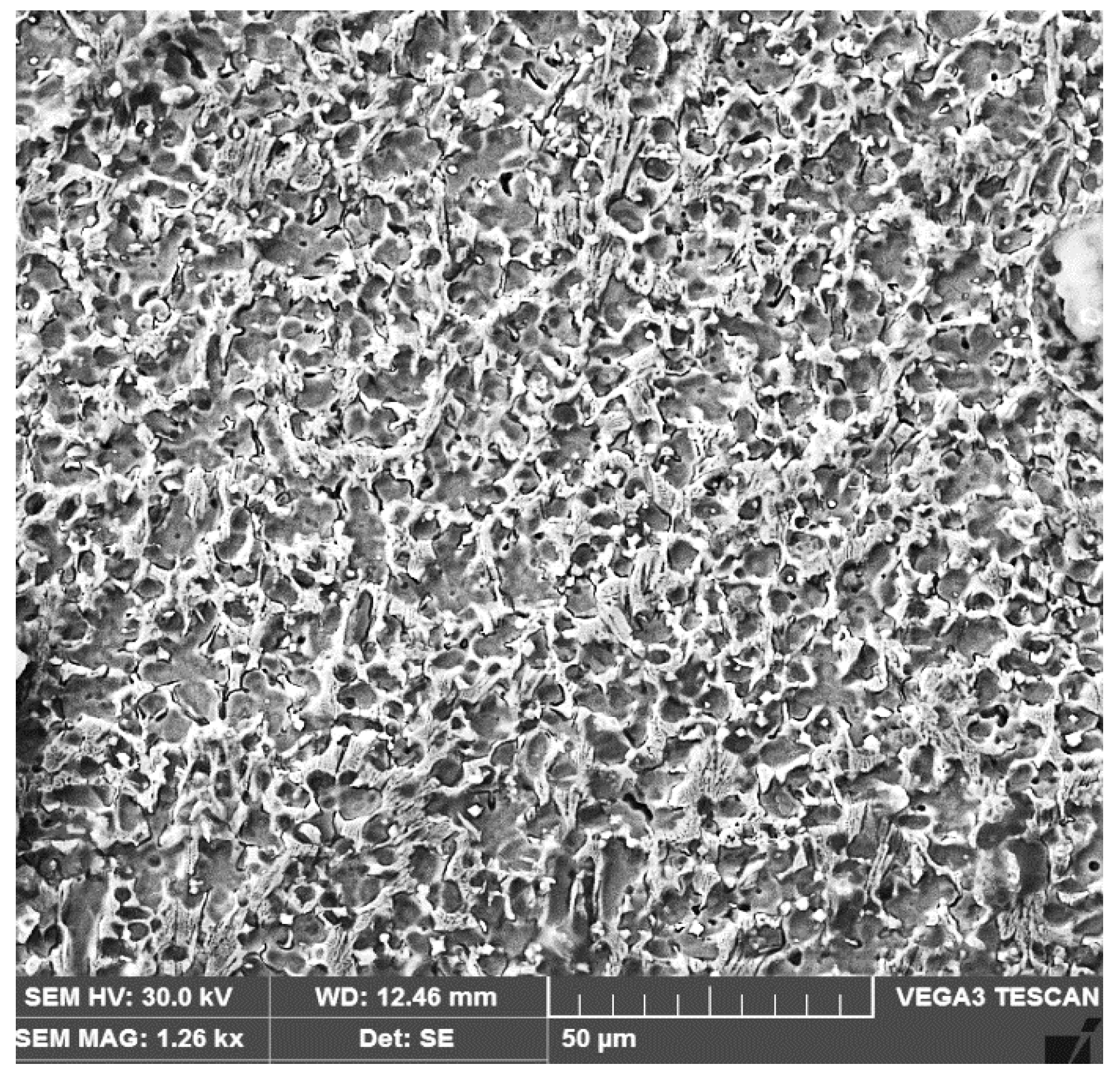 Materials 16 04557 g011