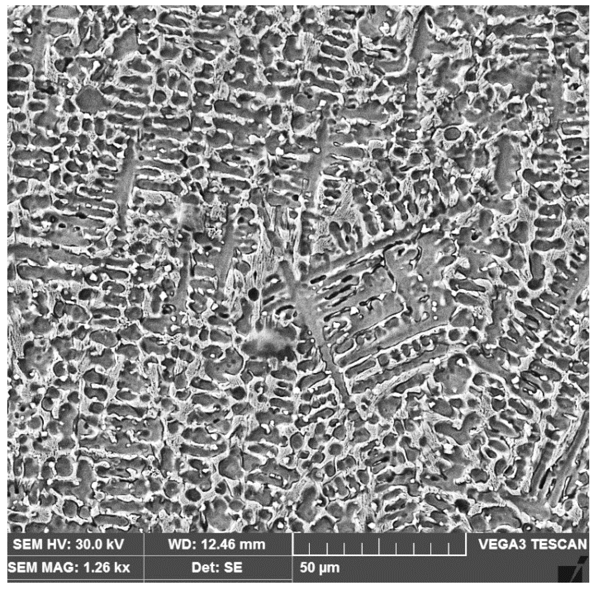 Materials 16 04557 g012