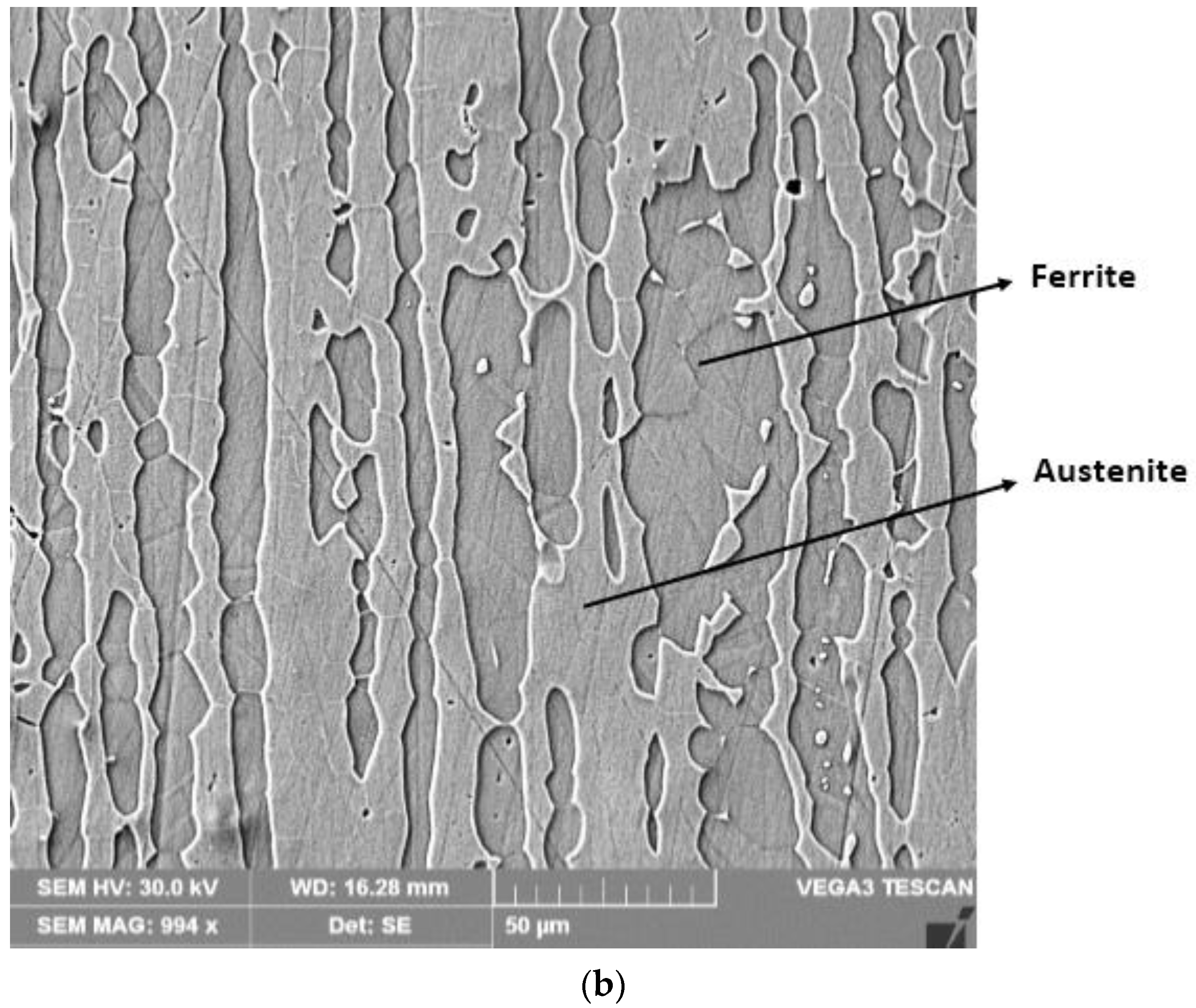 Materials 16 04557 g013b