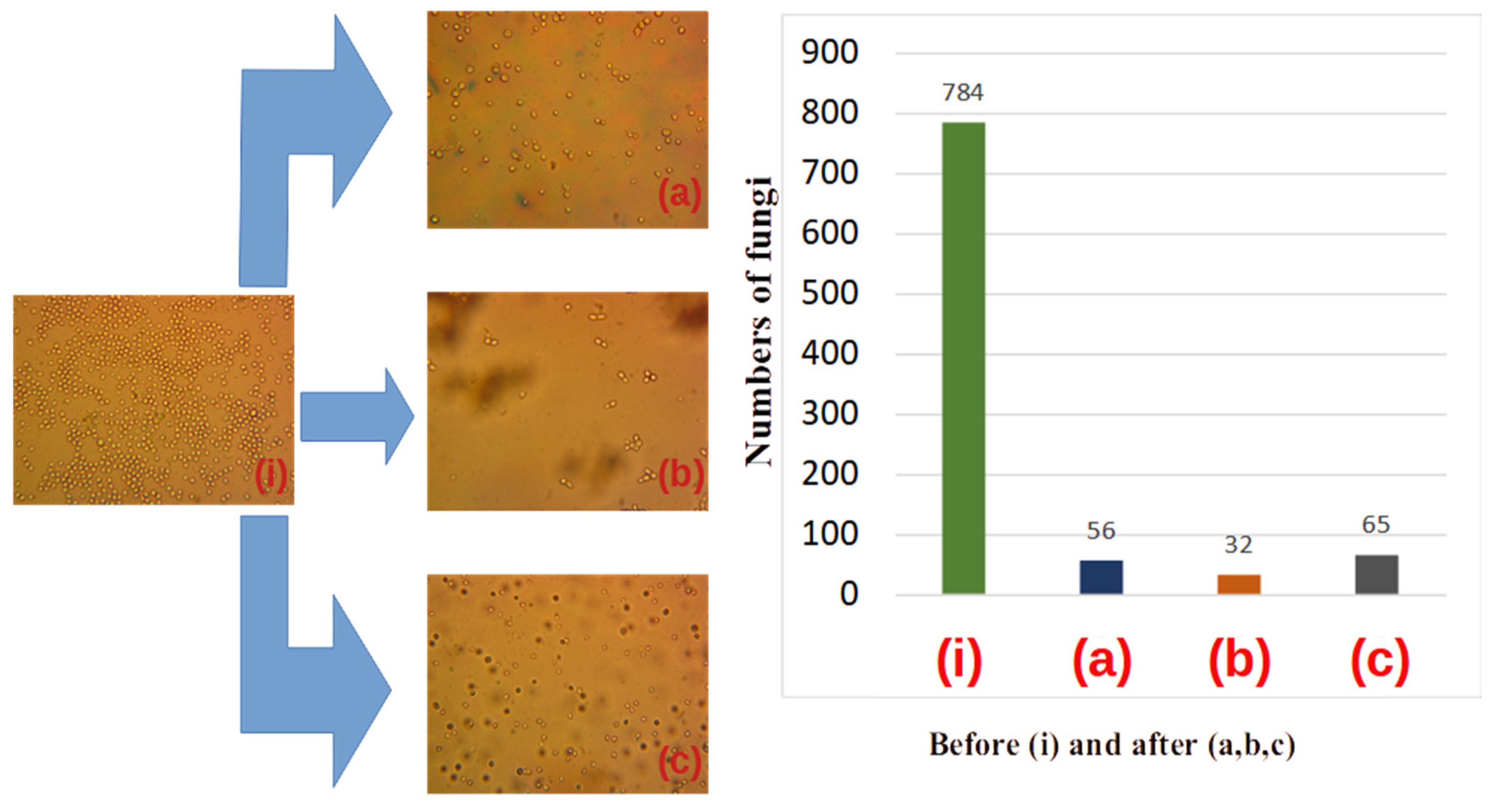 Materials 16 04559 g007 Materials 16 04559 g007
