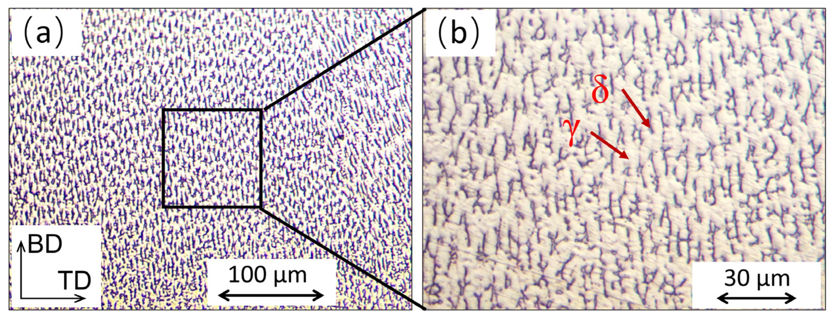 Materials 16 04561 g006 Materials 16 04561 g006