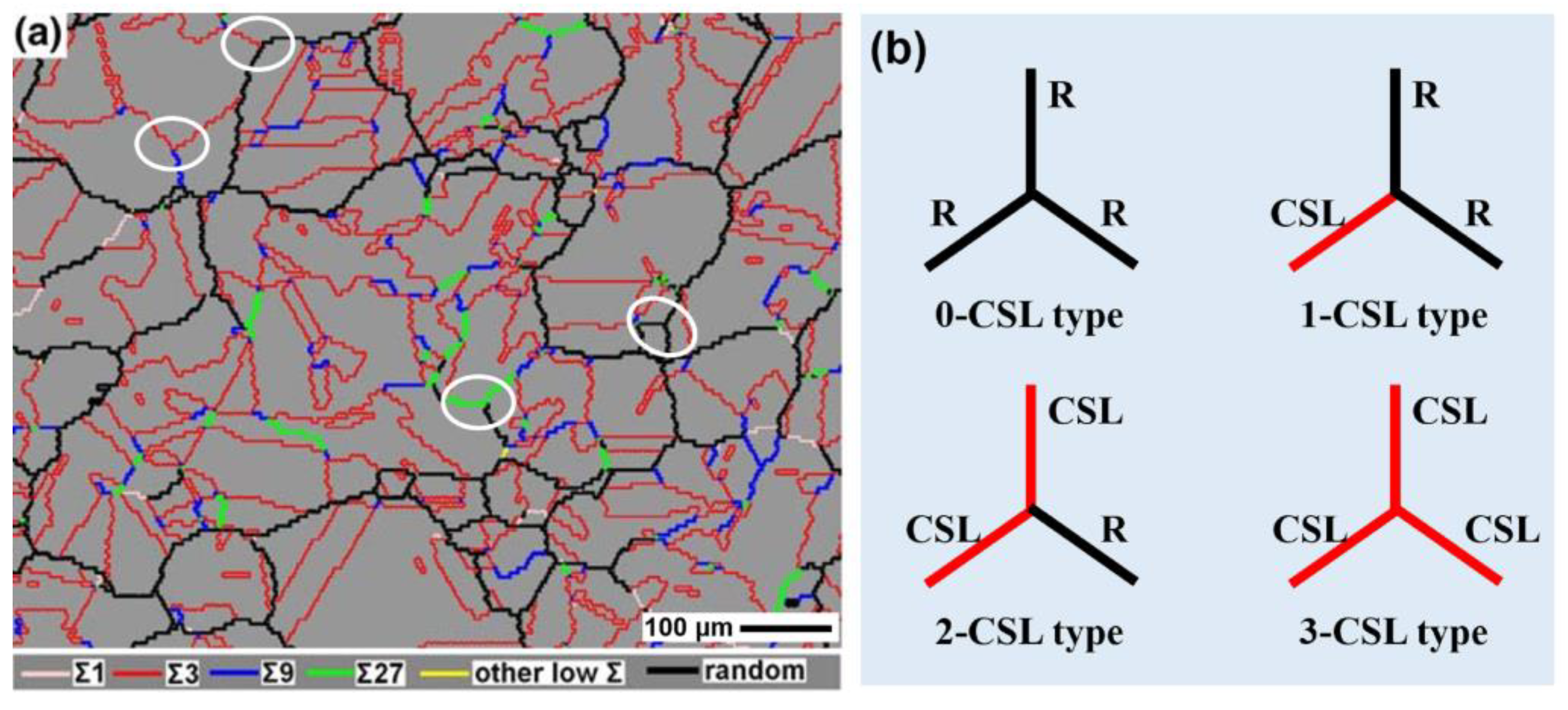 Materials 16 04562 g004 Materials 16 04562 g004