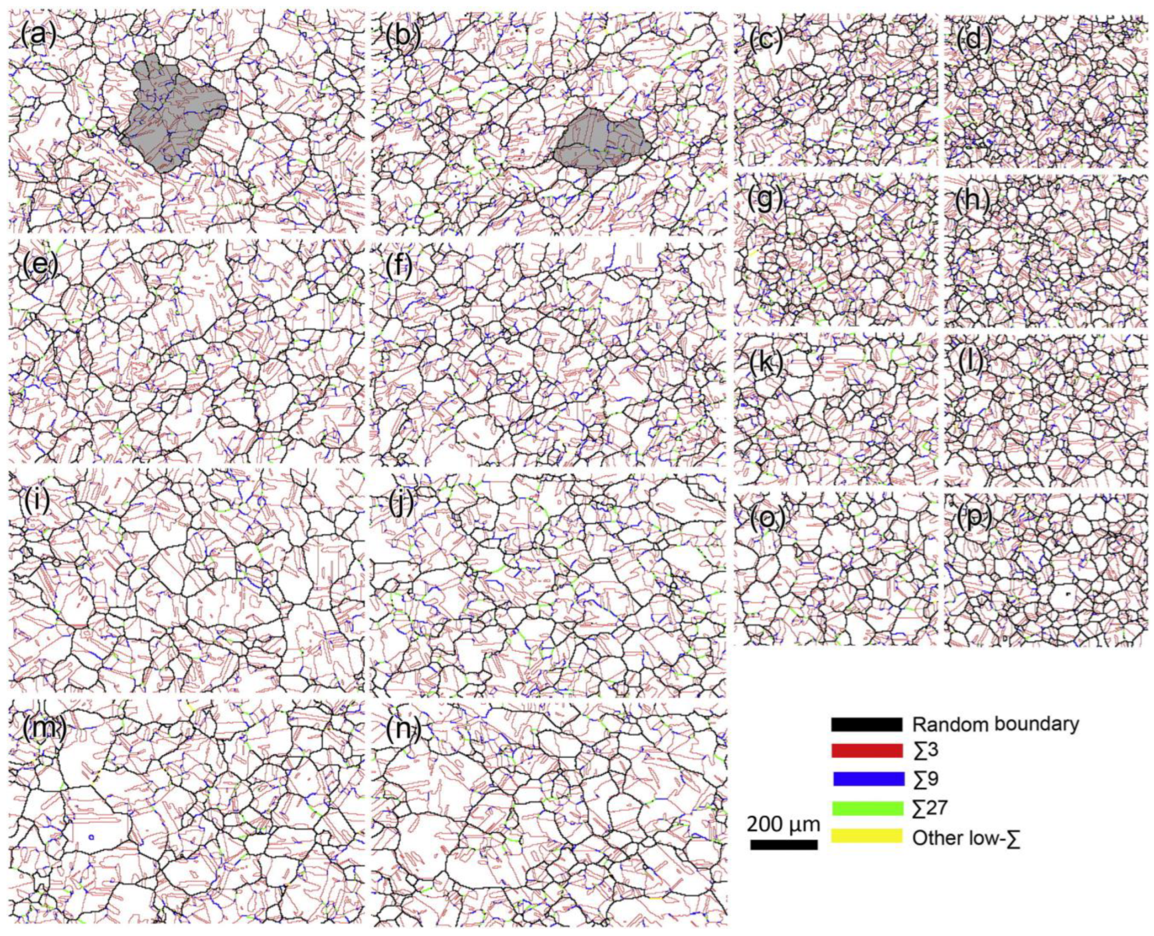 Materials 16 04562 g008 Materials 16 04562 g008
