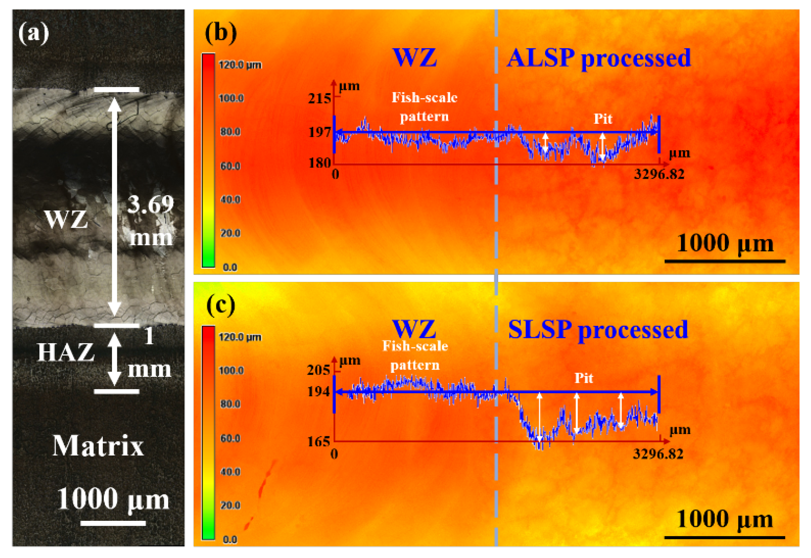 Materials 16 04570 g003