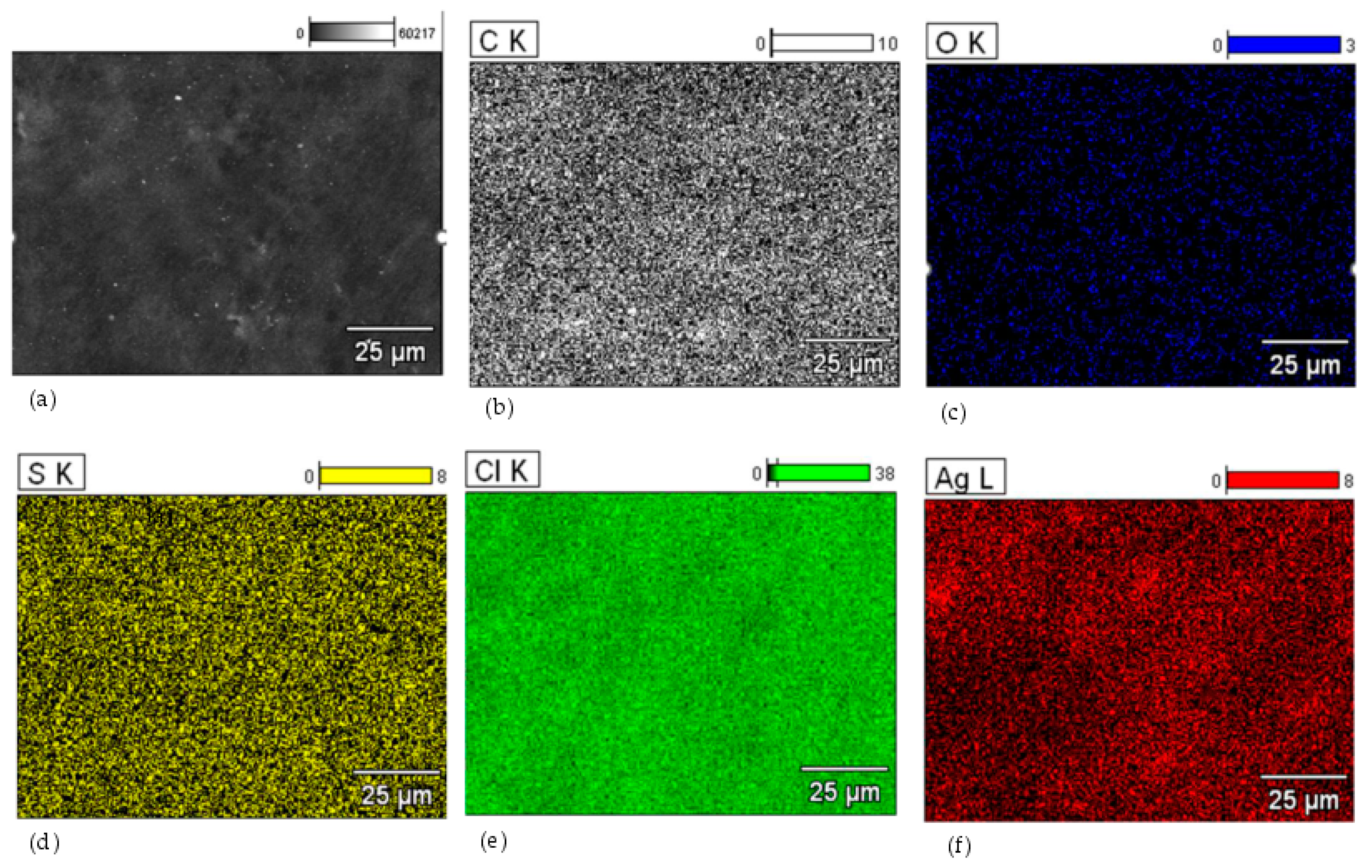 Materials 16 04573 g006