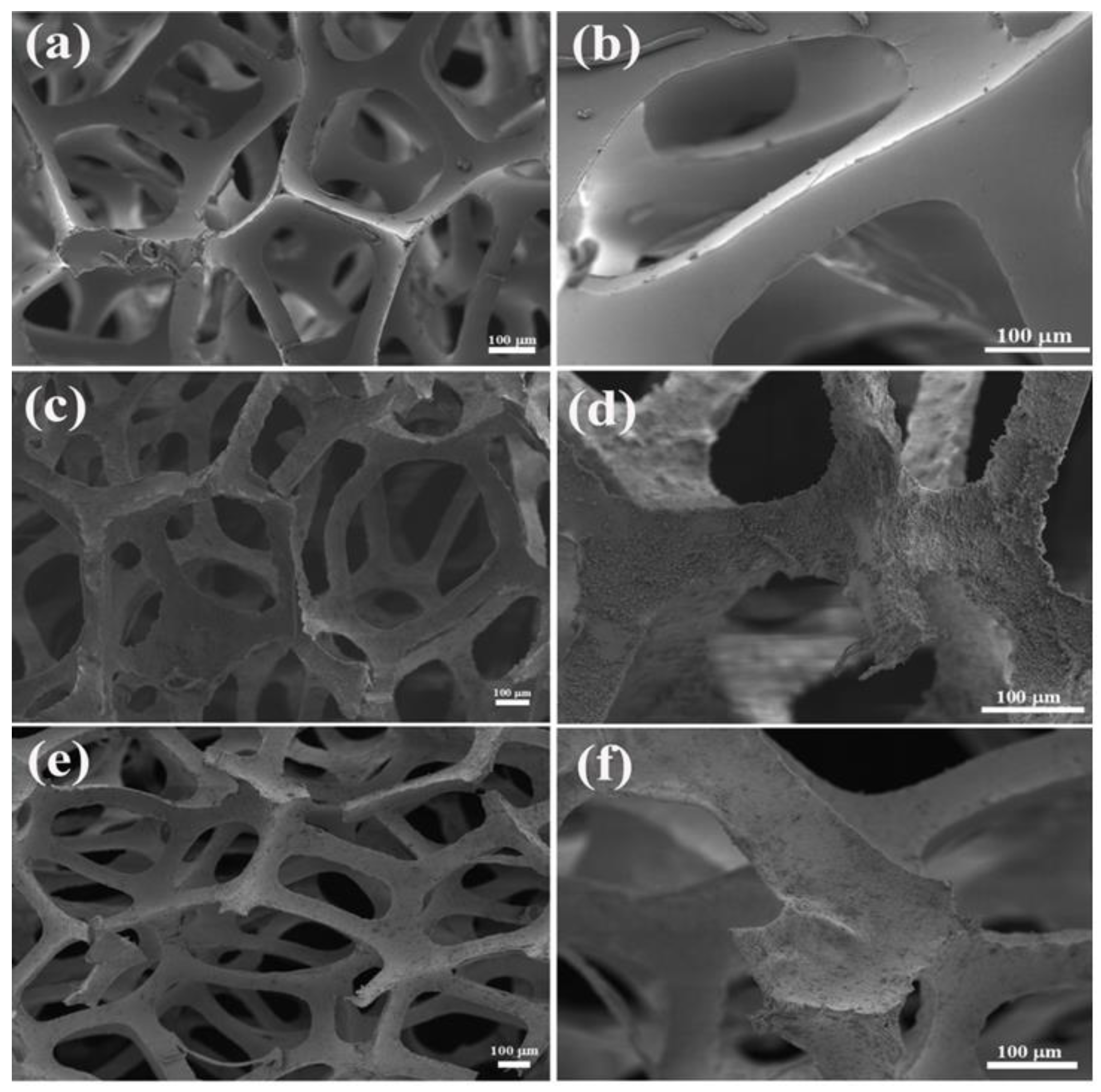 Materials 16 04583 g001 550