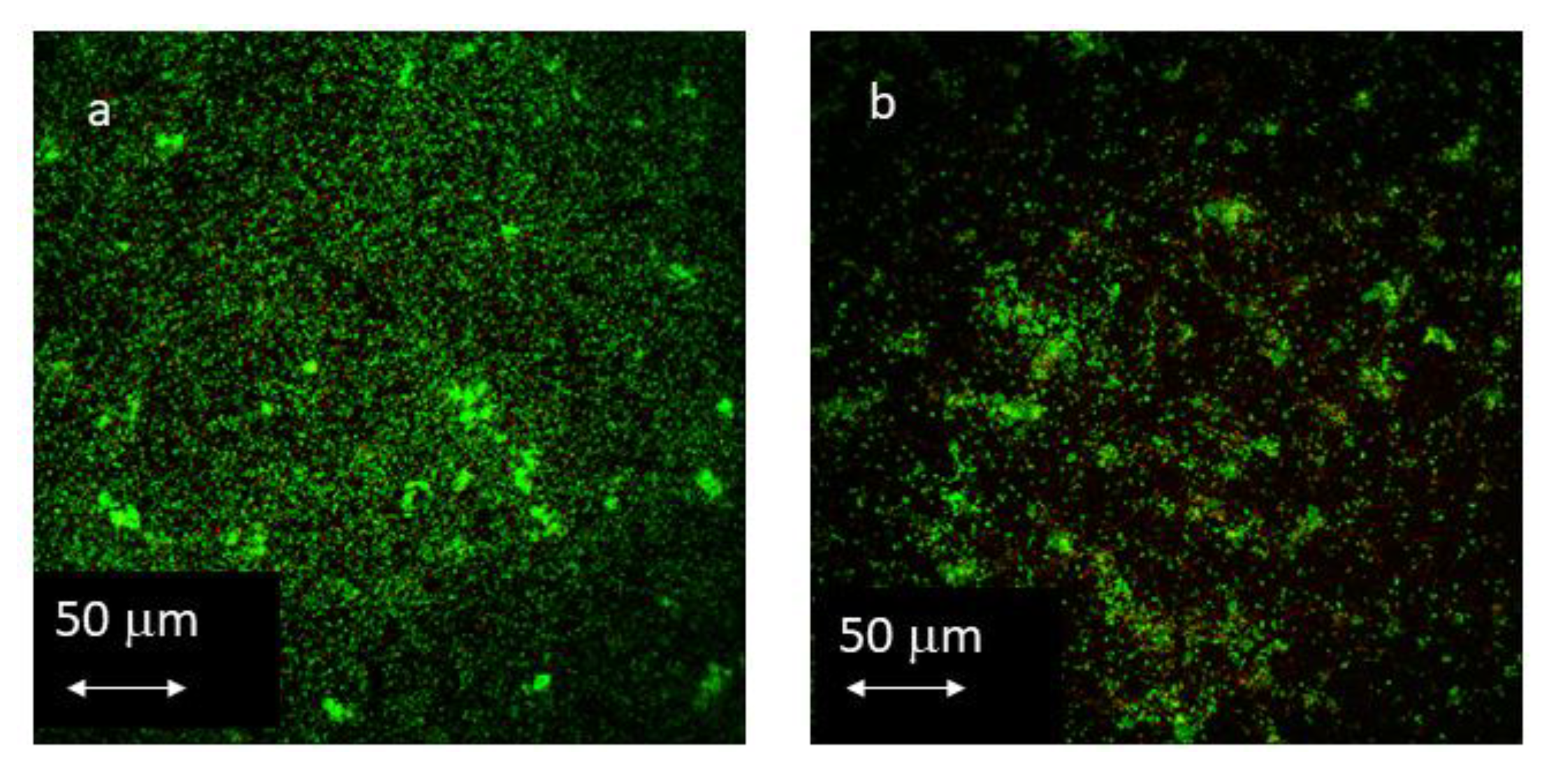 Materials 16 04592 g005
