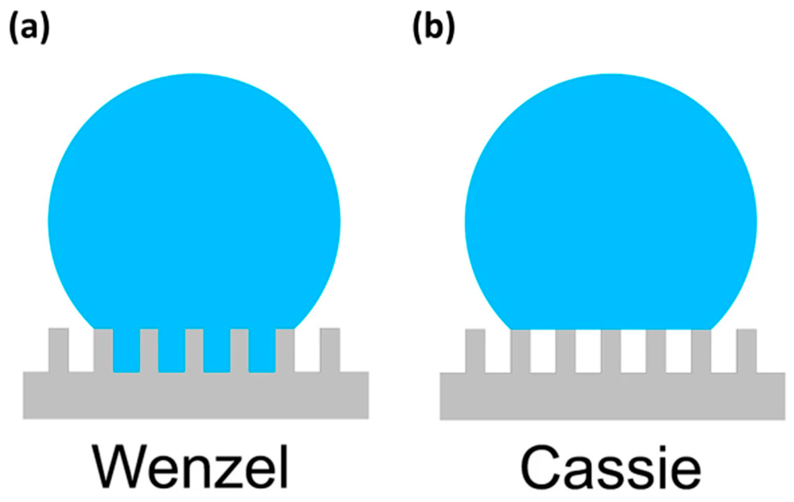 Materials 16 04607 g001