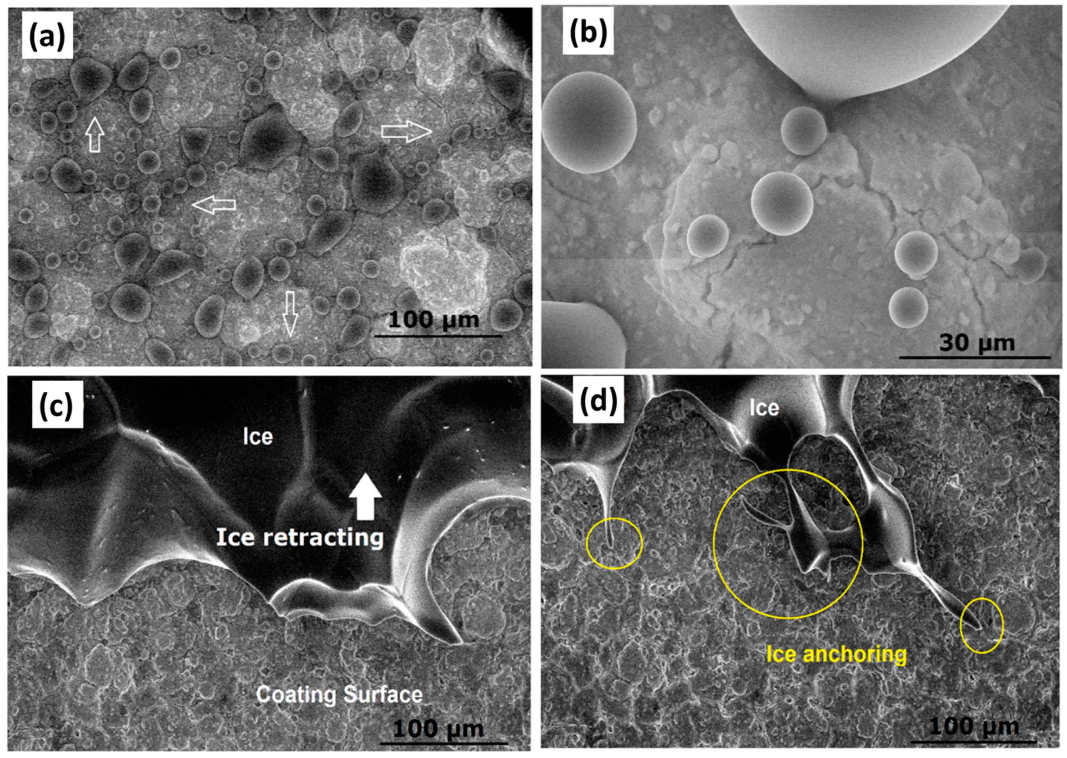 Materials 16 04607 g006