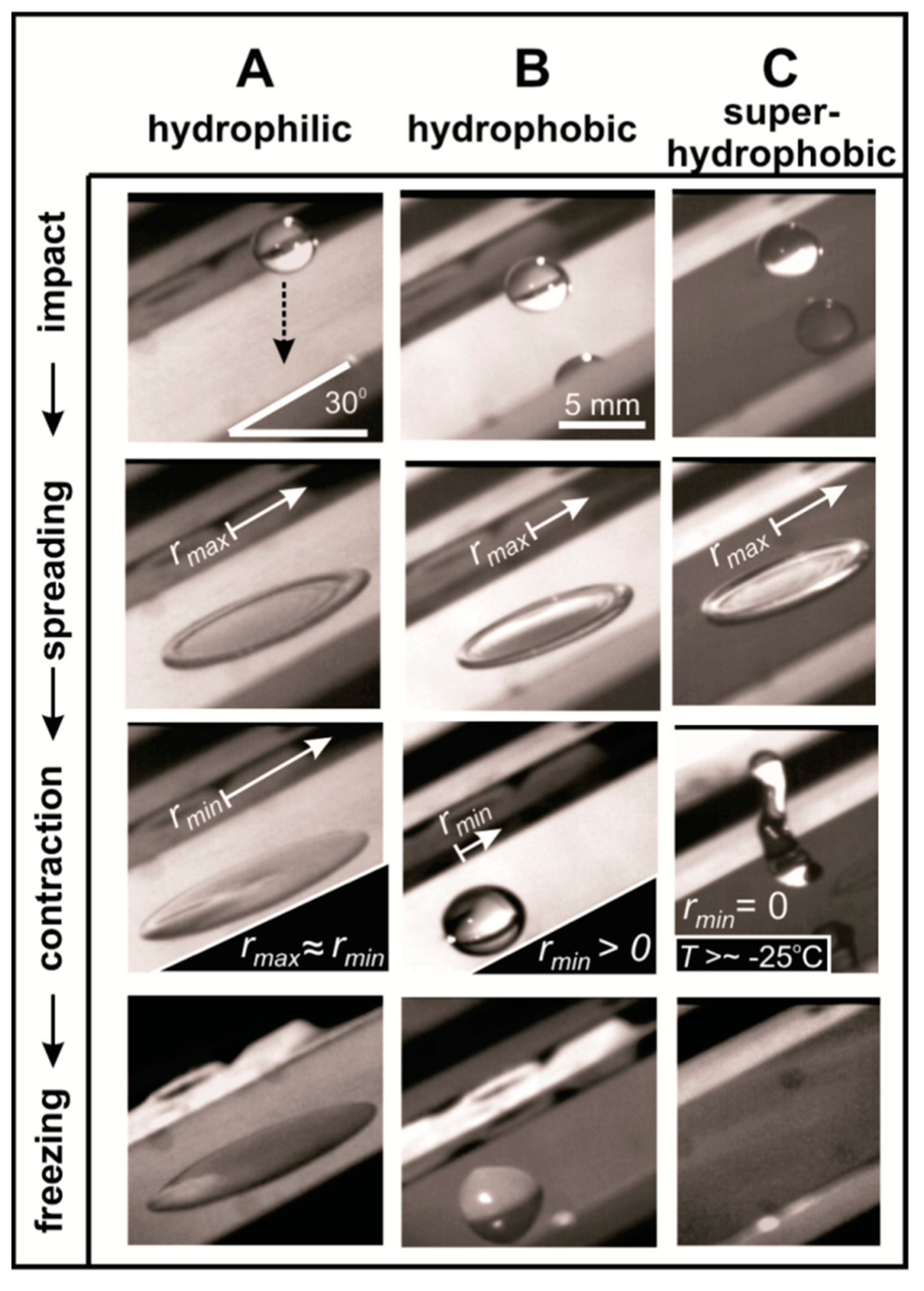 Materials 16 04607 g009