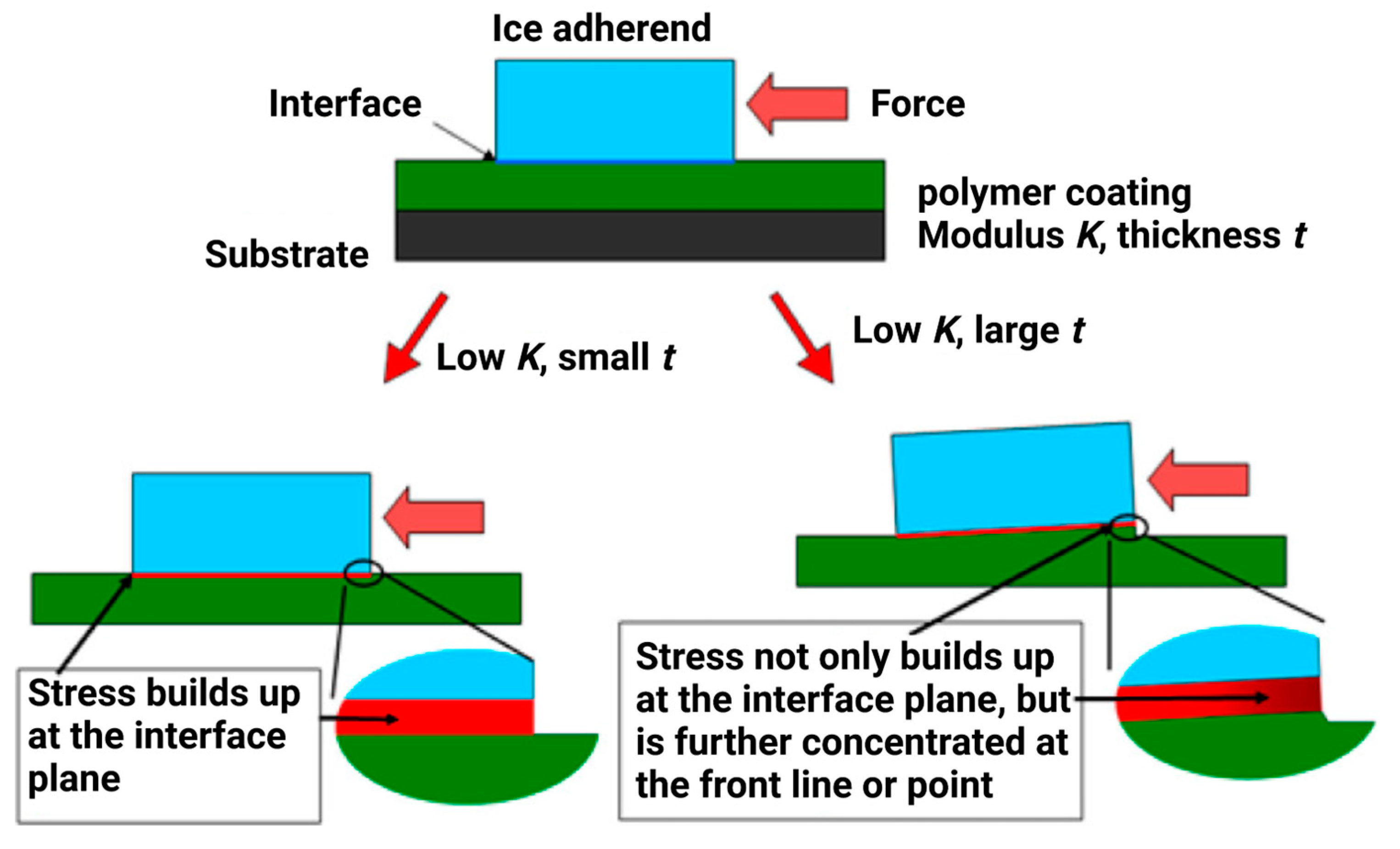 Materials 16 04607 g010