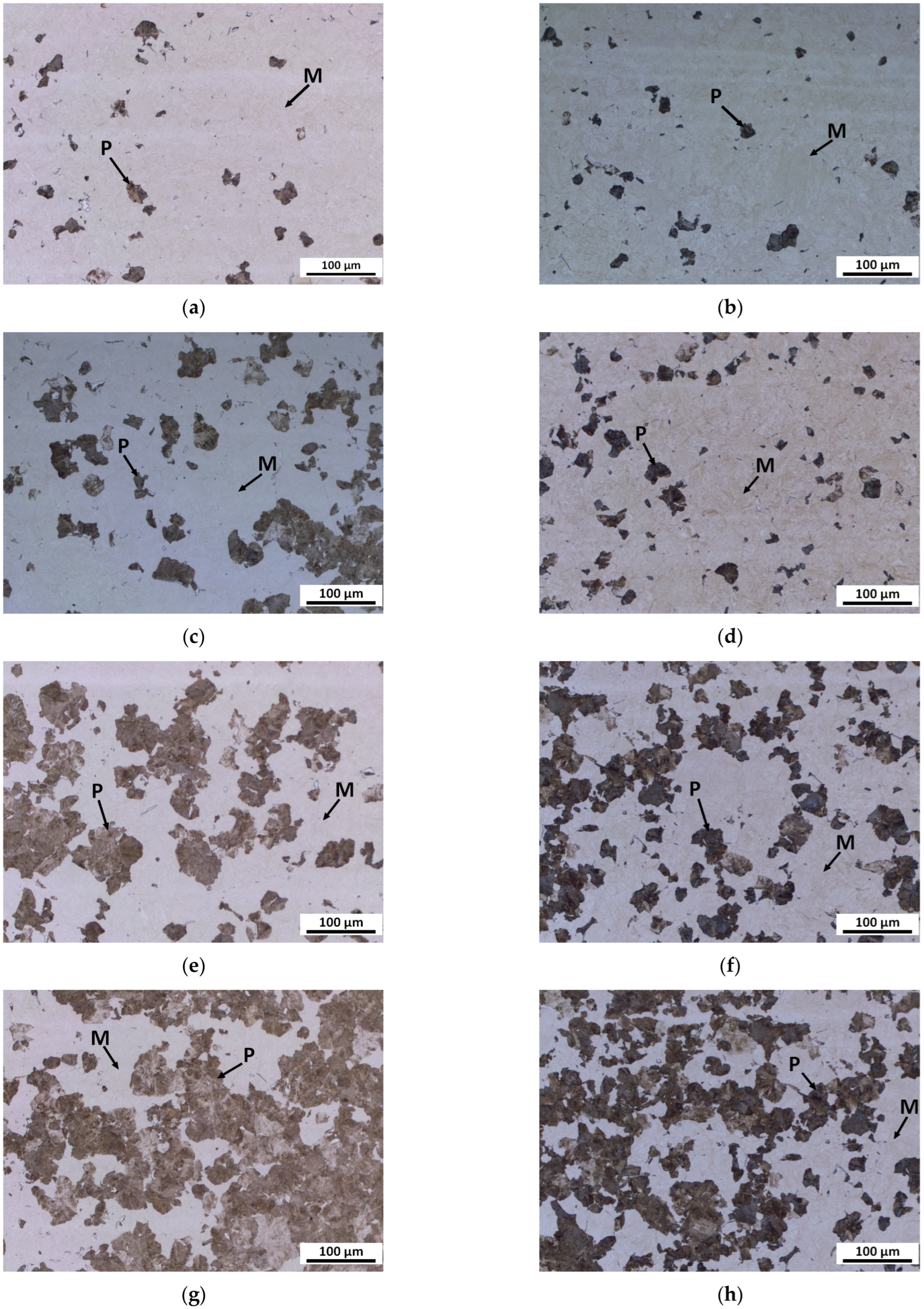 Materials 16 04619 g002