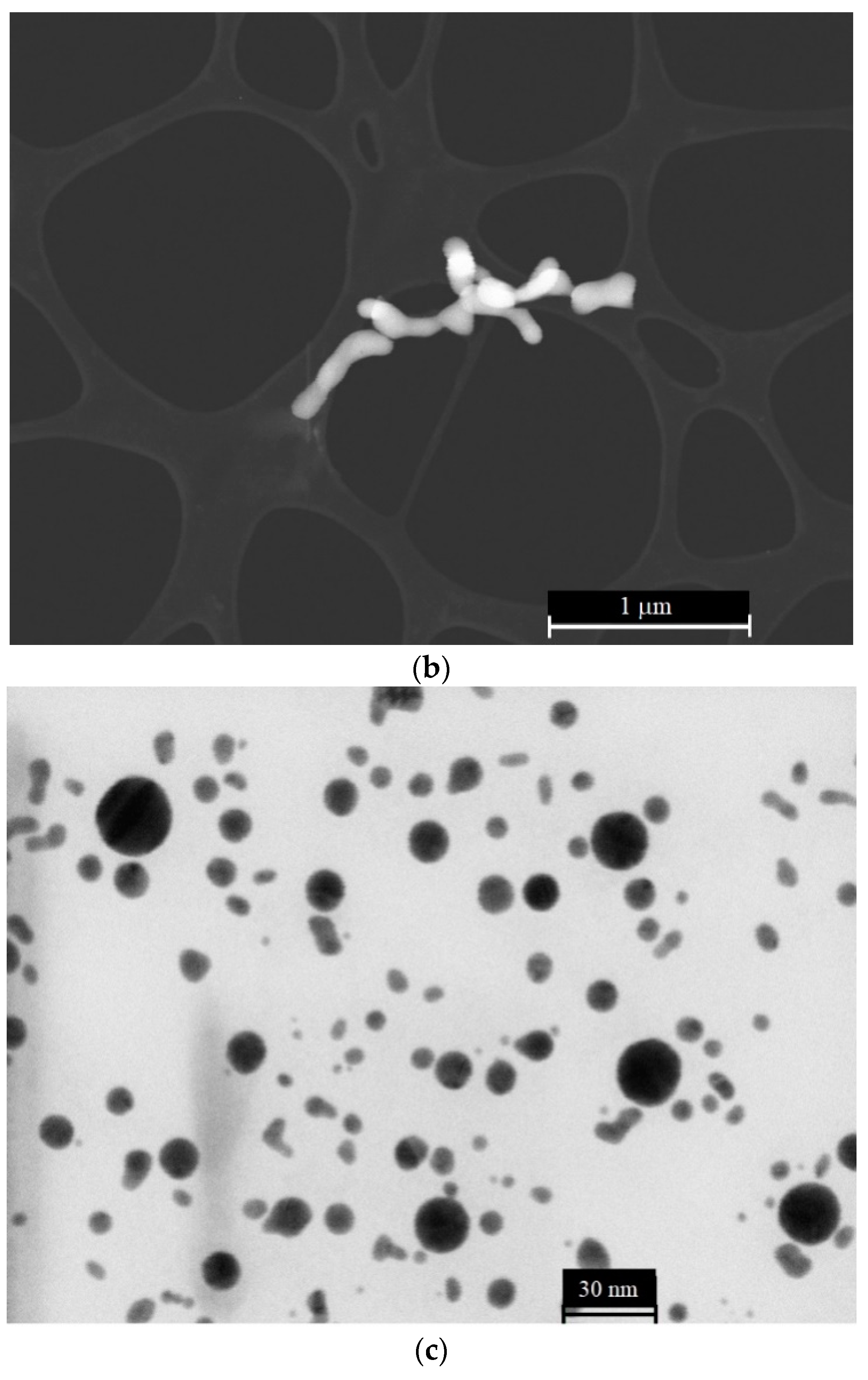 Materials 16 04622 g004b