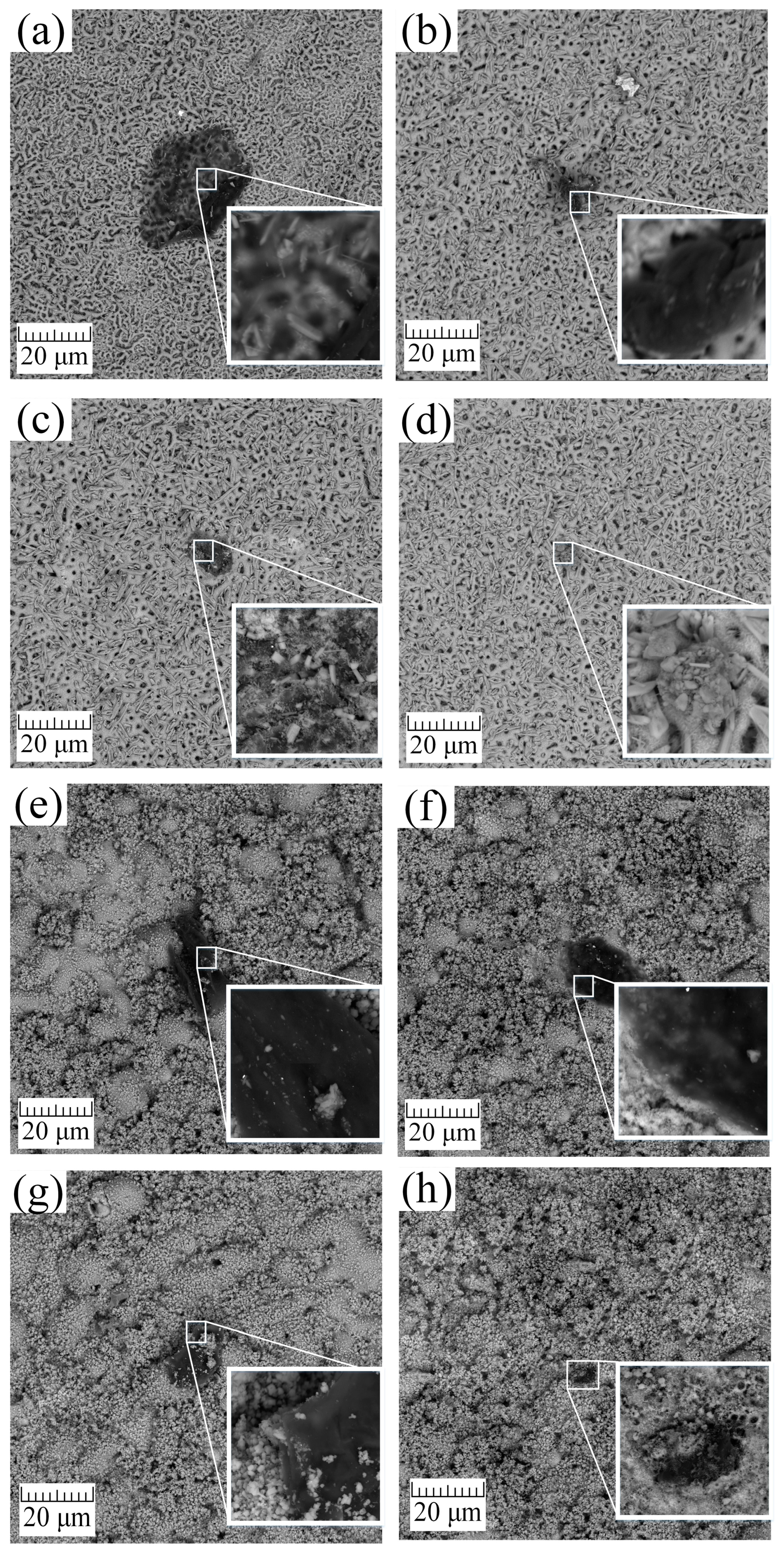 Materials 16 04624 g004 Materials 16 04624 g004