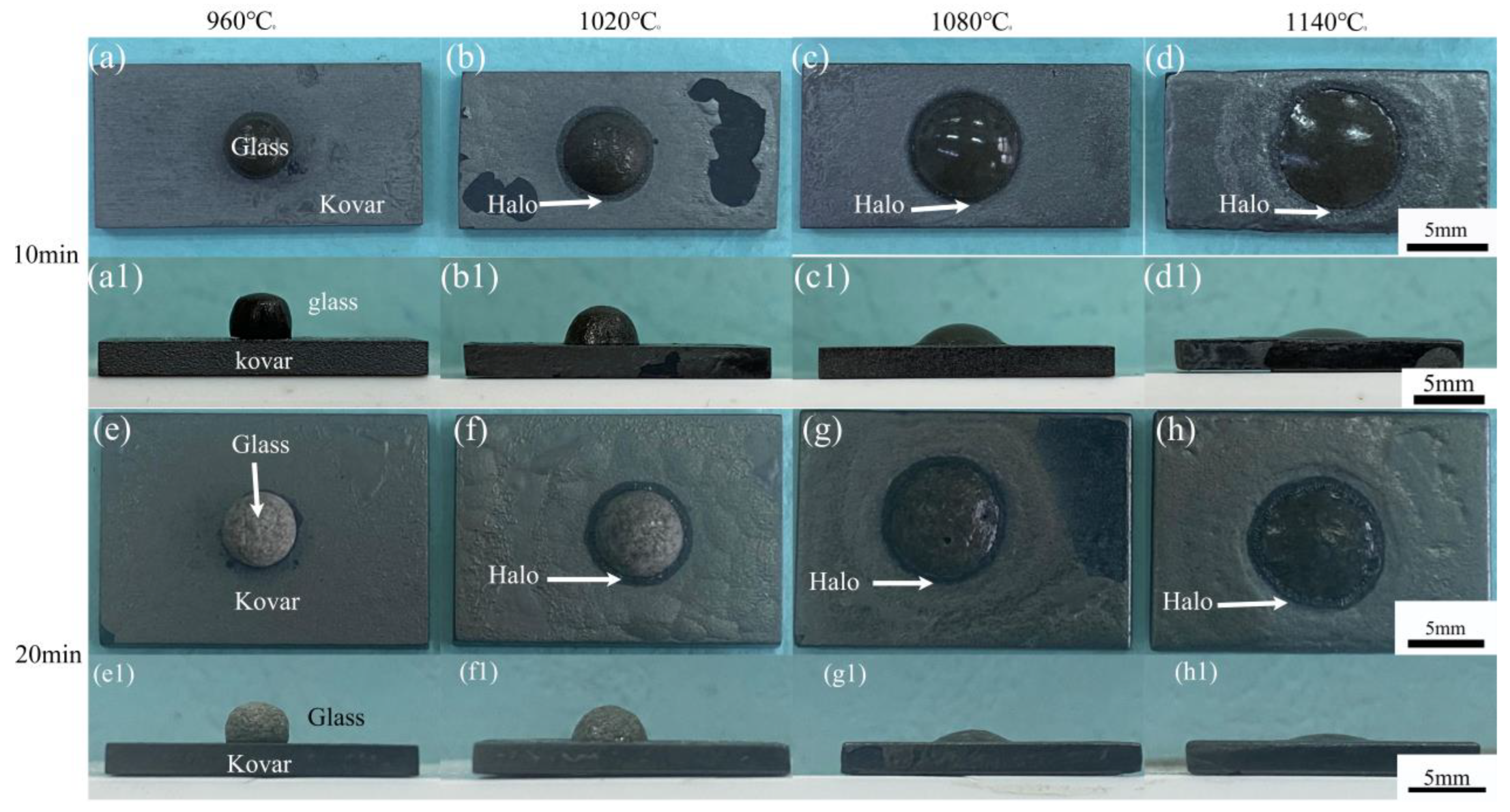 Materials 16 04628 g005 Materials 16 04628 g005