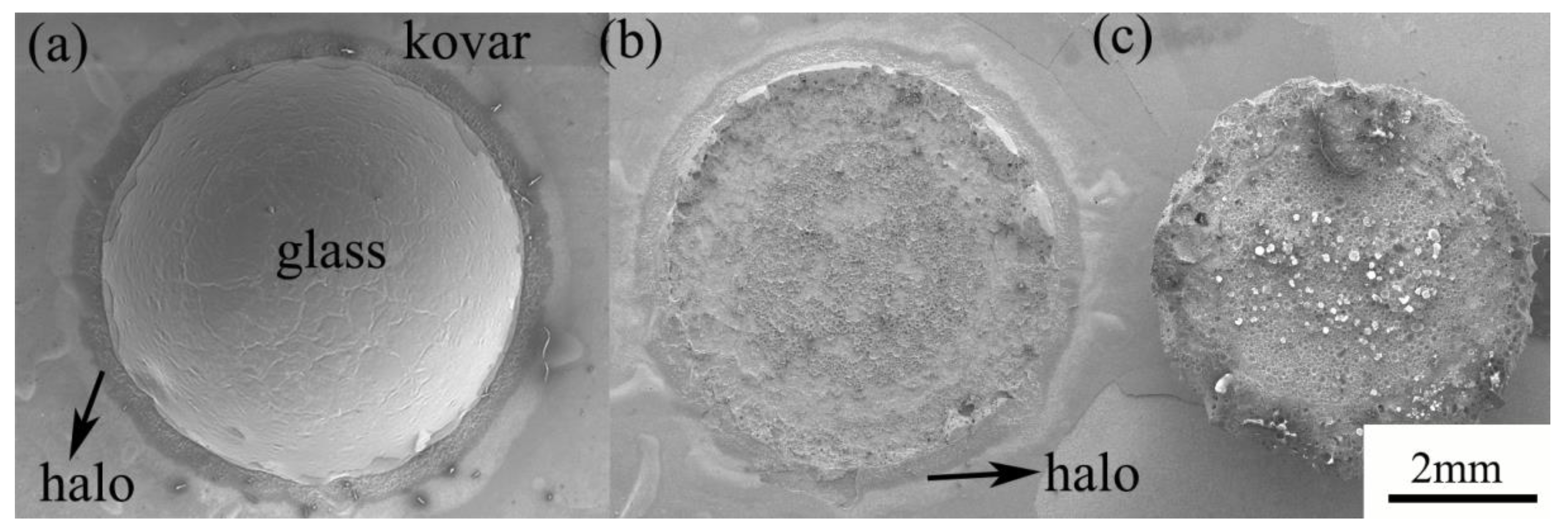 Materials 16 04628 g016 Materials 16 04628 g016